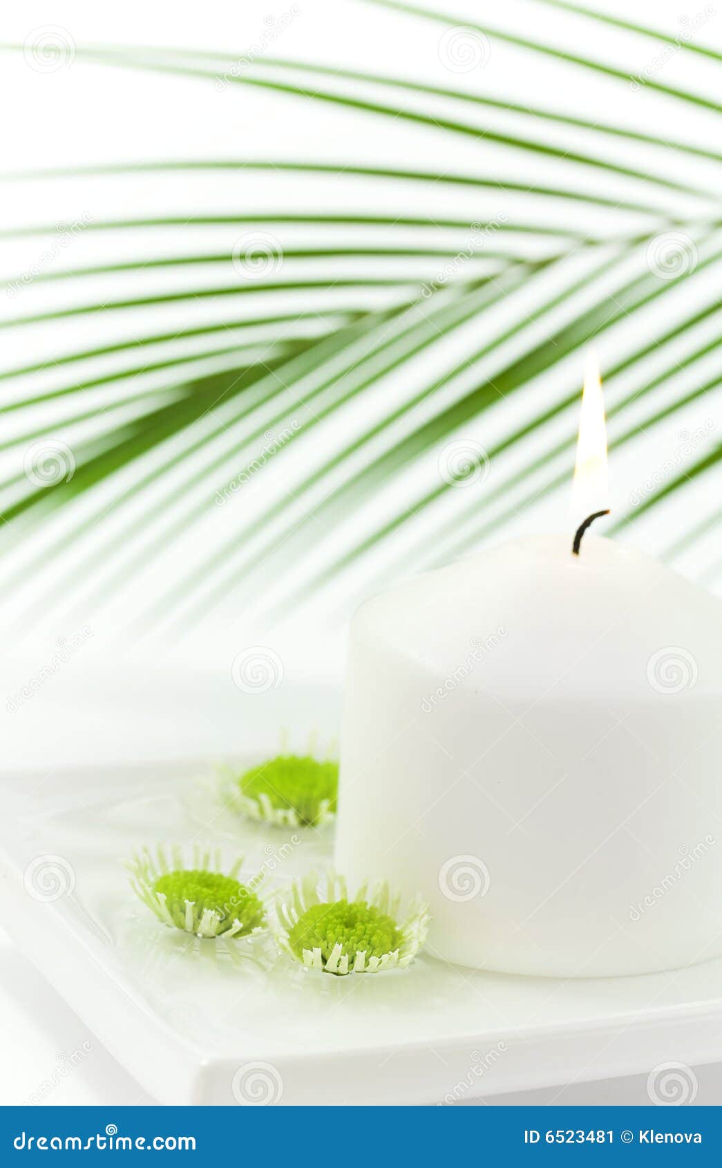 White Candle and Floating Flowers Stock Image Image of nature, flowers 6523481