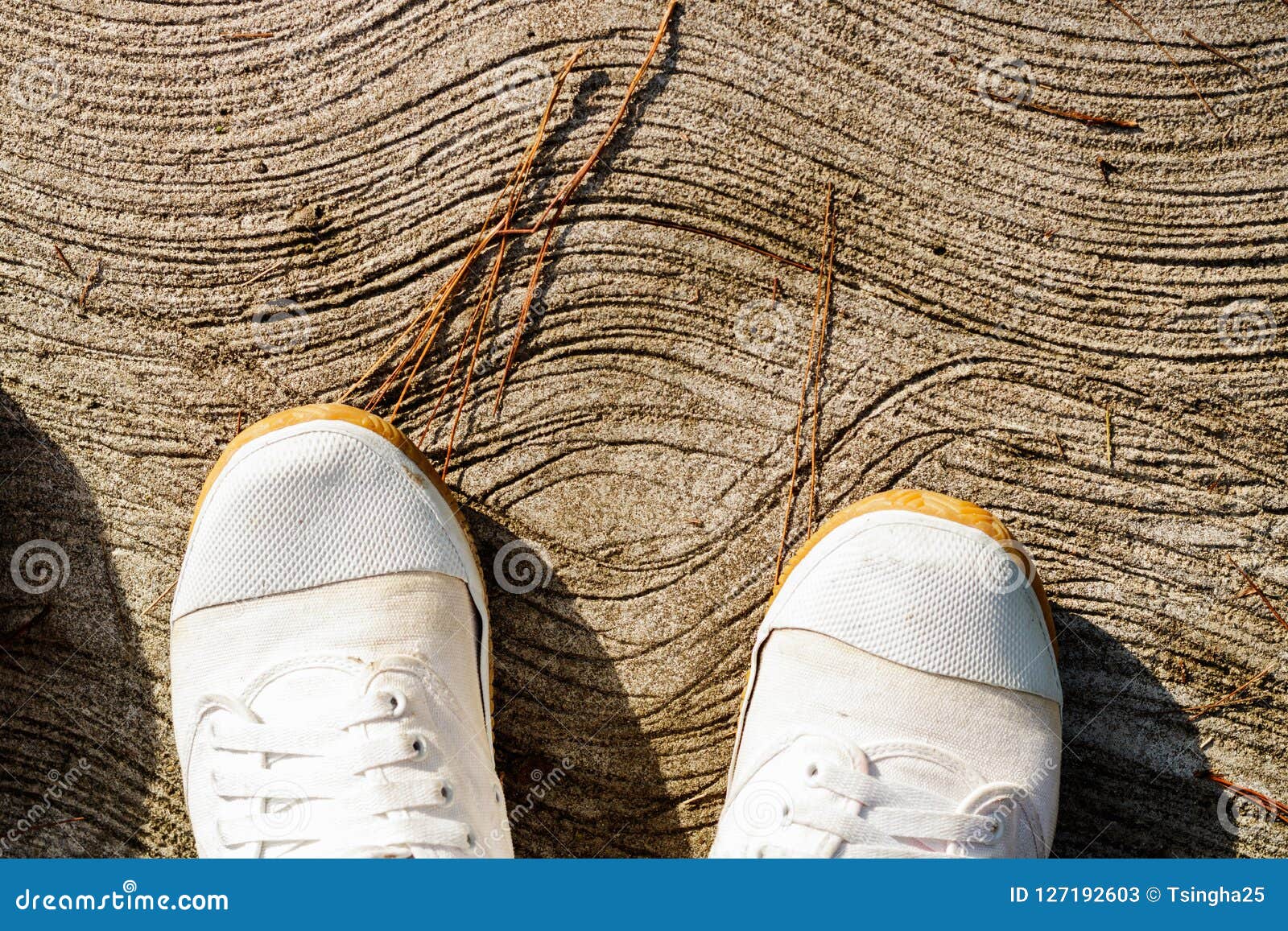 White Canvas Shoes Walking On Concrete Floor Stock Image Image