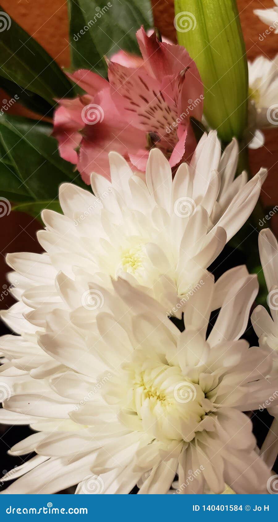 White Carnation Bouquet stock photo. Image of flower - 140401584