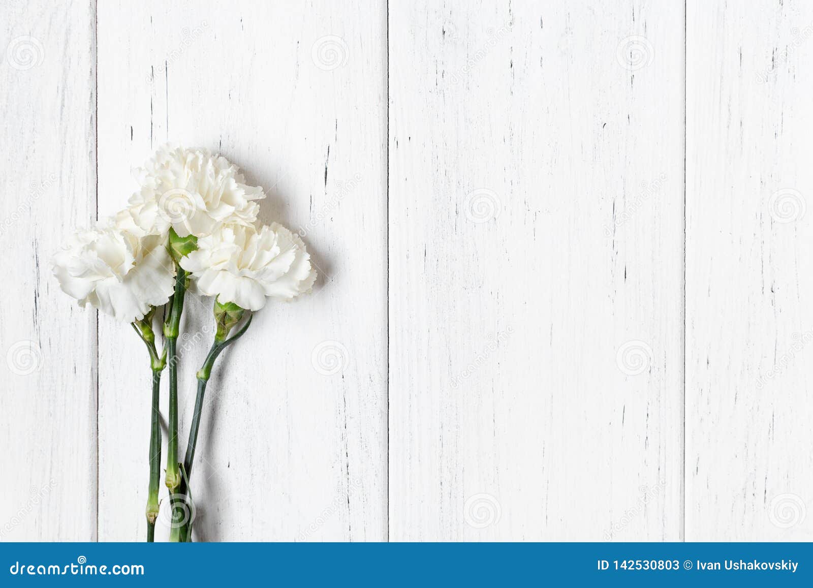 White Carnations on Wooden Table Backgeound. Copy Space Stock Image