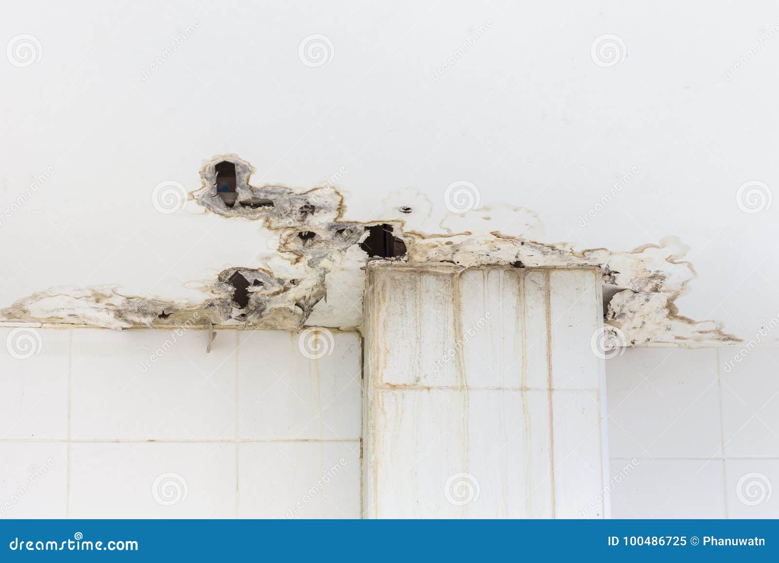 Ceiling Inside the Building Get Damaged Showing Moisture and Dir Stock