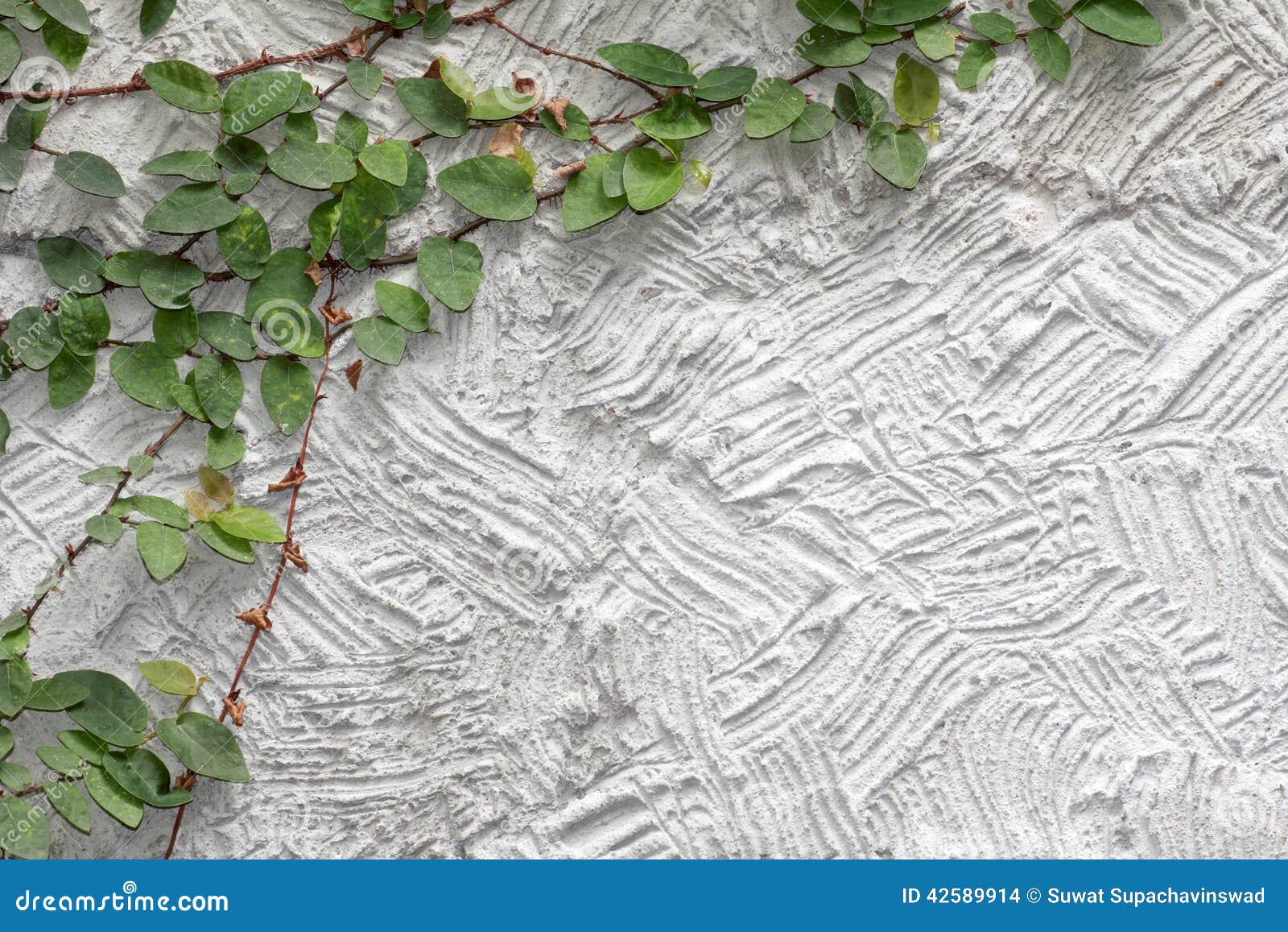 White Cement Texture Wall Leaf Stock Photo - Image of concrete