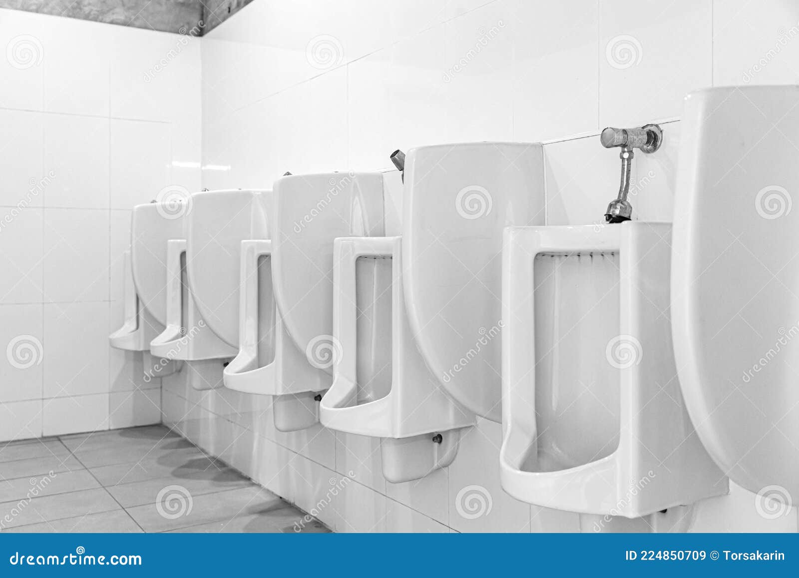 White Ceramic Urinals in the Men`s Bathroom Stock Image Image of flushing, equipment 224850709