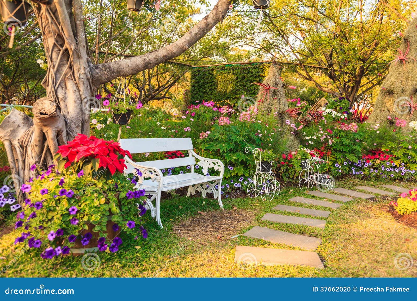 White Chairs in the Garden. Stock Photo Image of hedge, peaceful