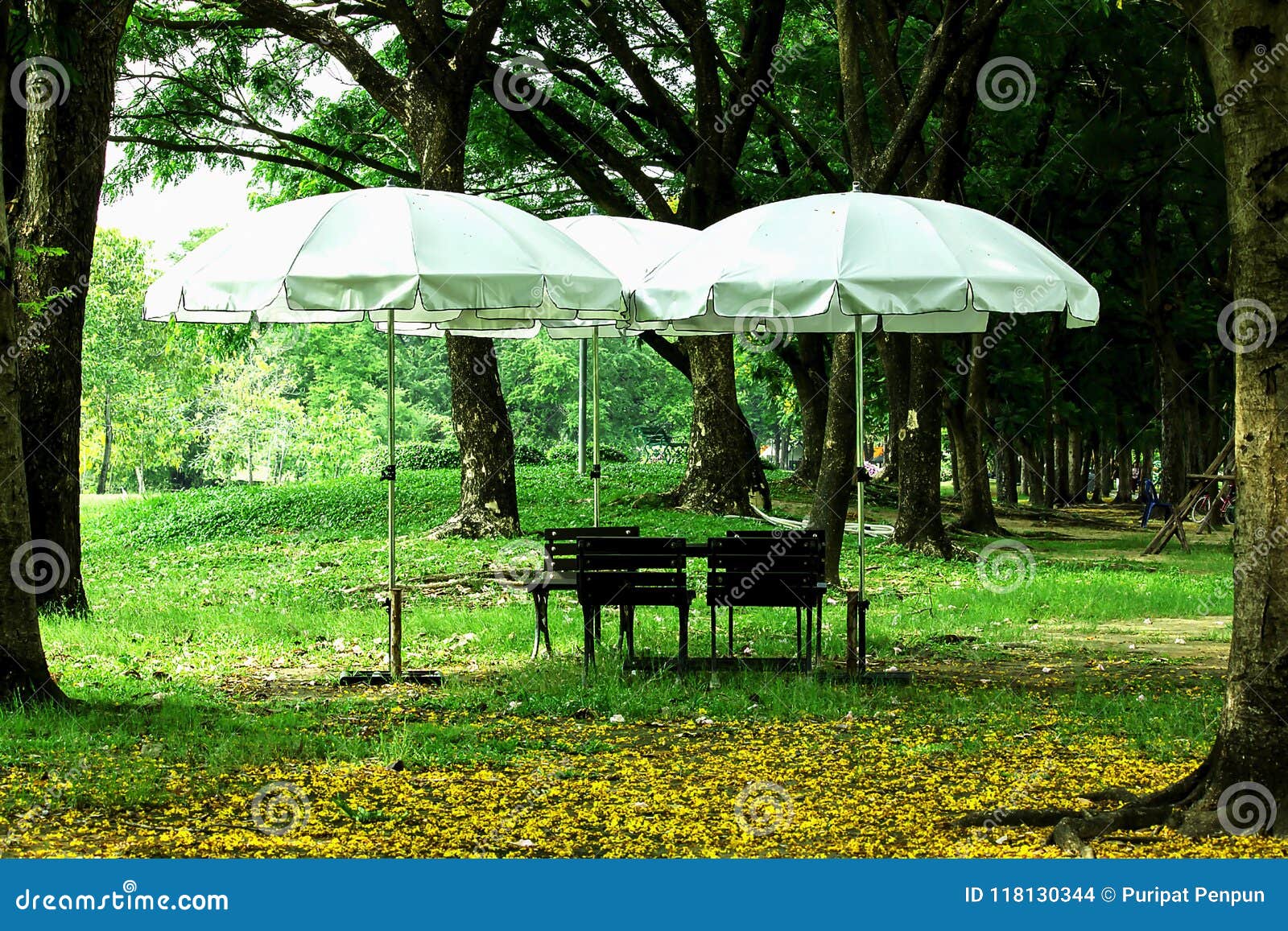 Unique Asbury Park Beach Chair And Umbrella Rental with Simple Decor