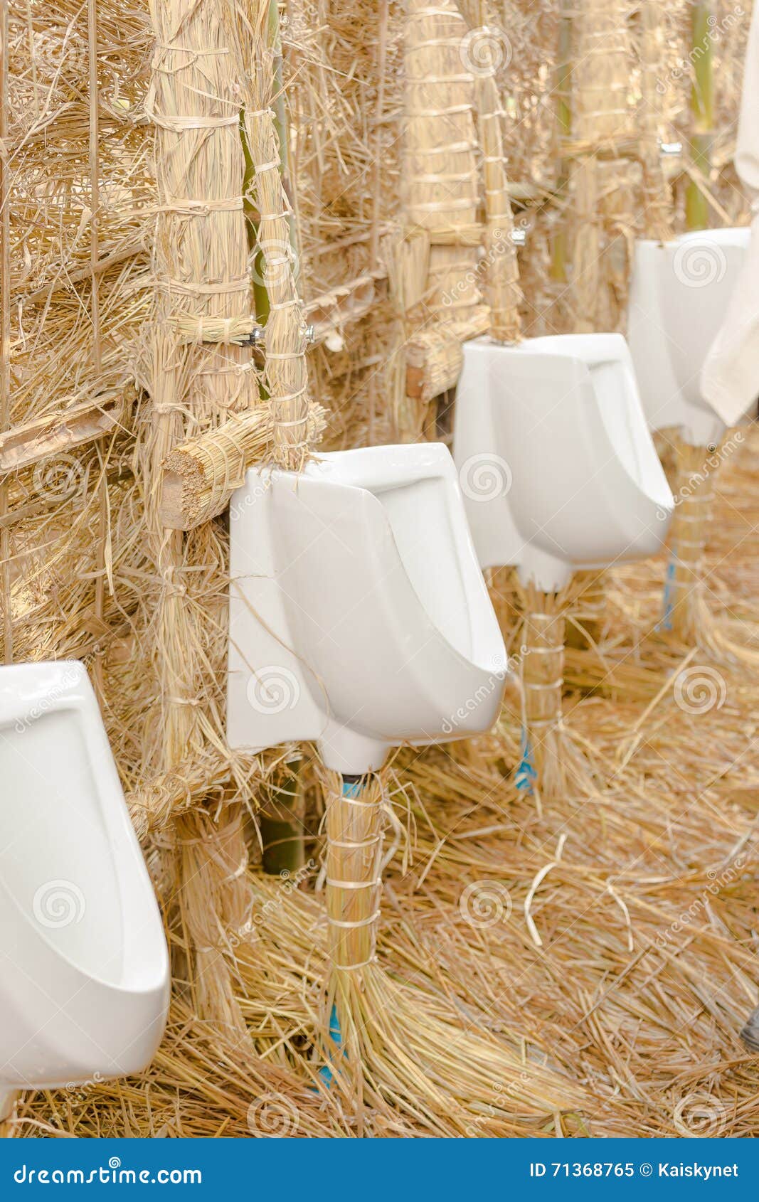 White Chamber Pot In Toilet Design For Countryside Stock White Chamber Pot In Toilet Design For Countryside Stock