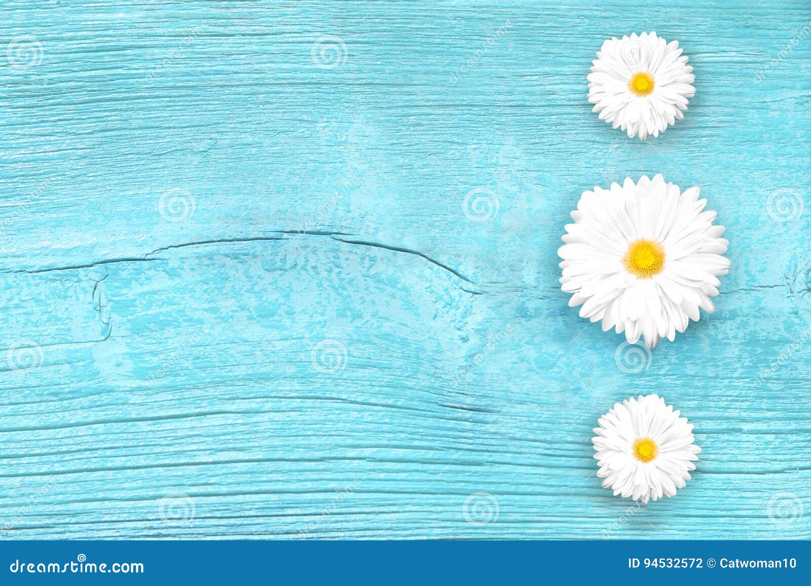 white chamomile flowers pattern on blue wooden desk. minimal flat lay concept.