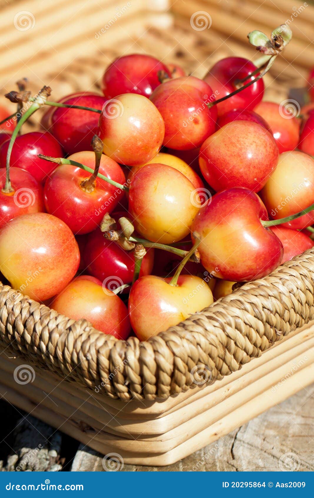 White cherries stock photo. Image of healthy, colorful 20295864