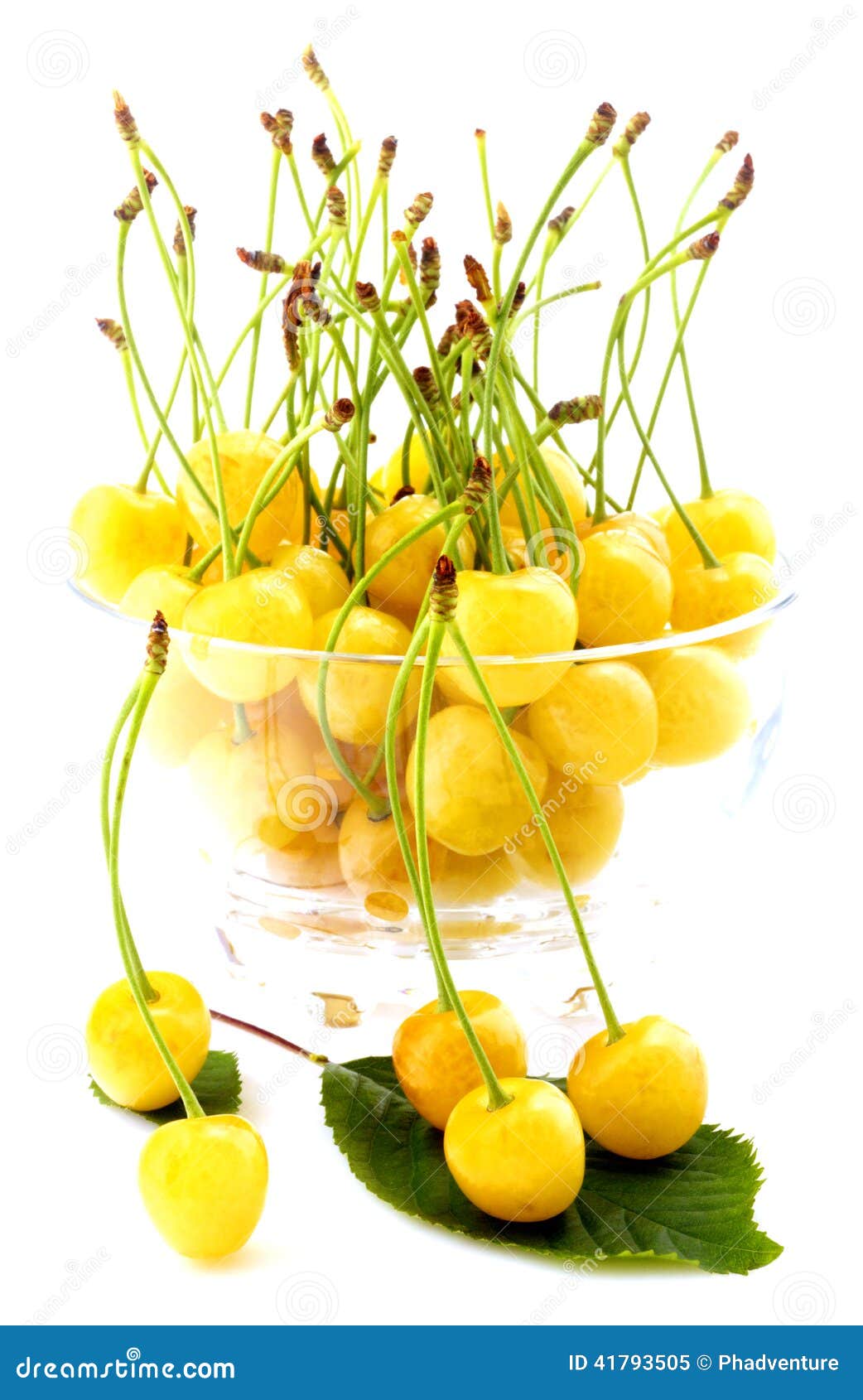 White Cherries in Bowl Isolated Stock Image Image of healthy, cherry