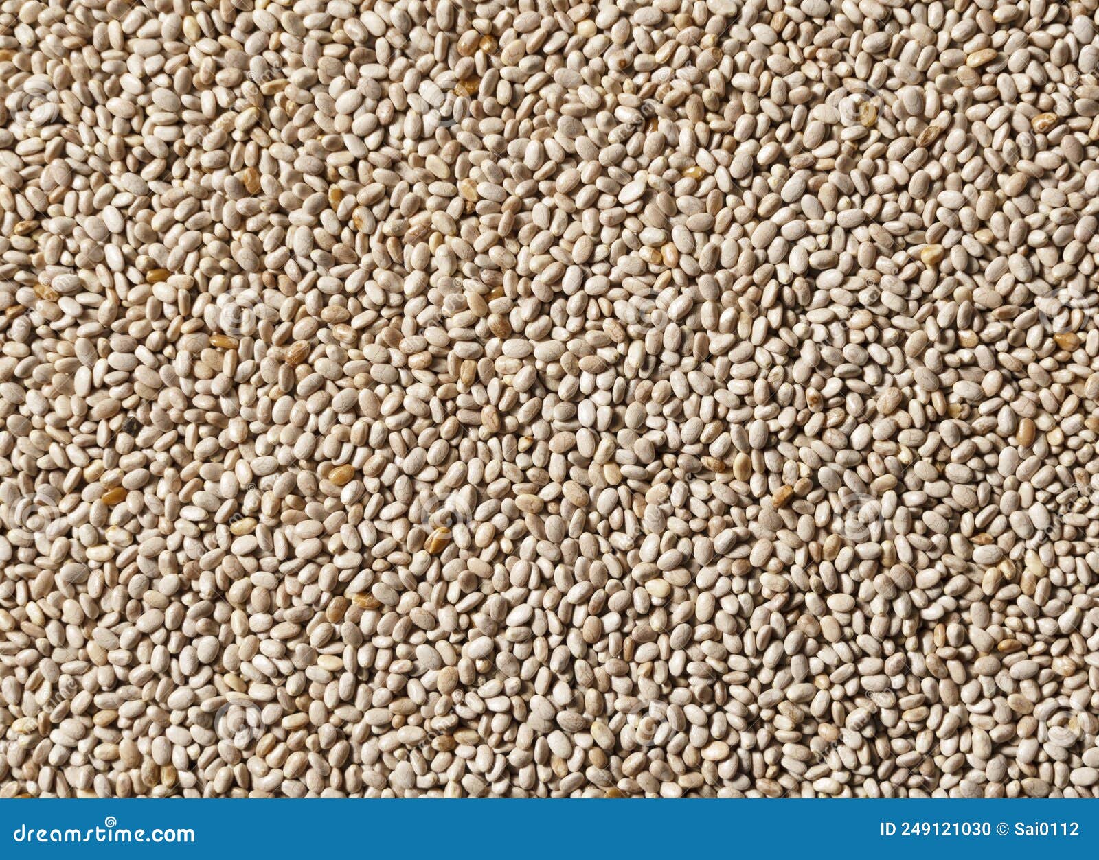 White Chia Seeds Throughout the Screen Stock Photo - Image of seed ...