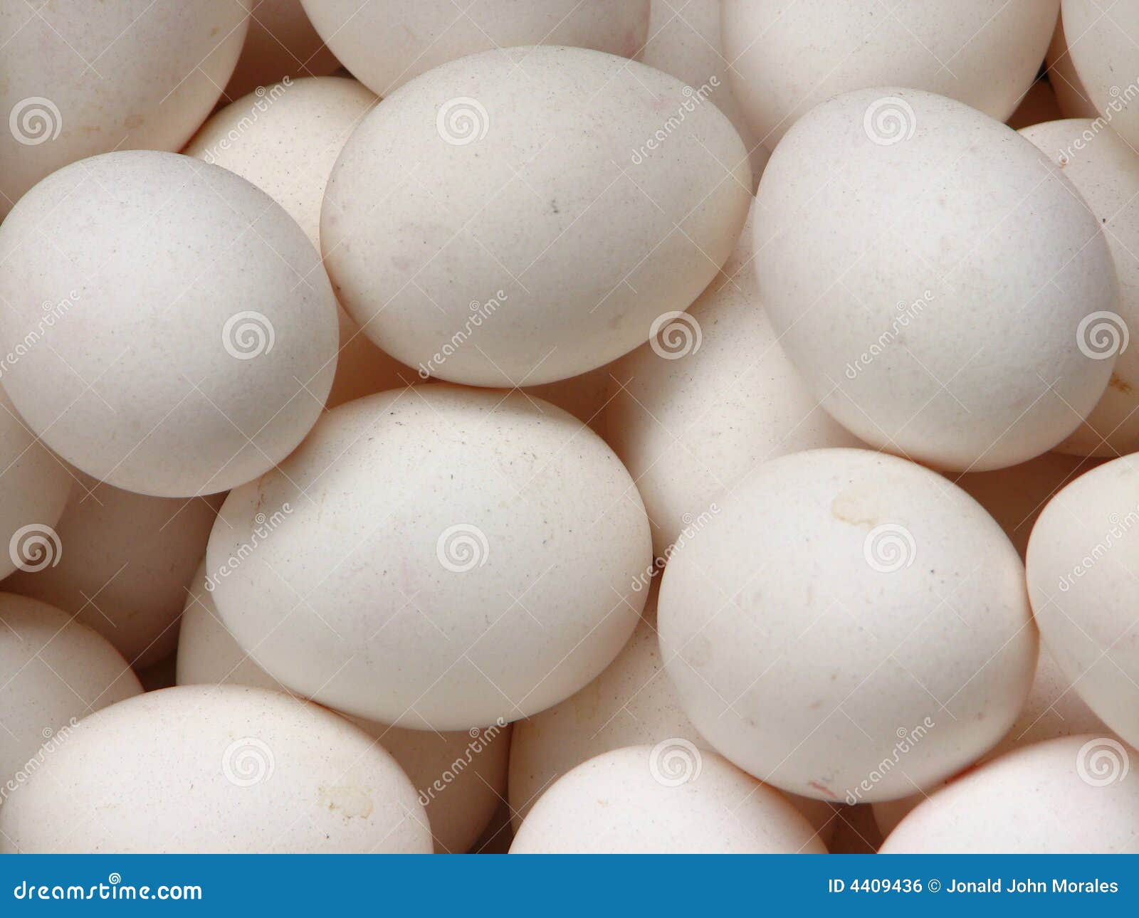 White Chicken Eggs stock photo. Image of healthy, produce 4409436