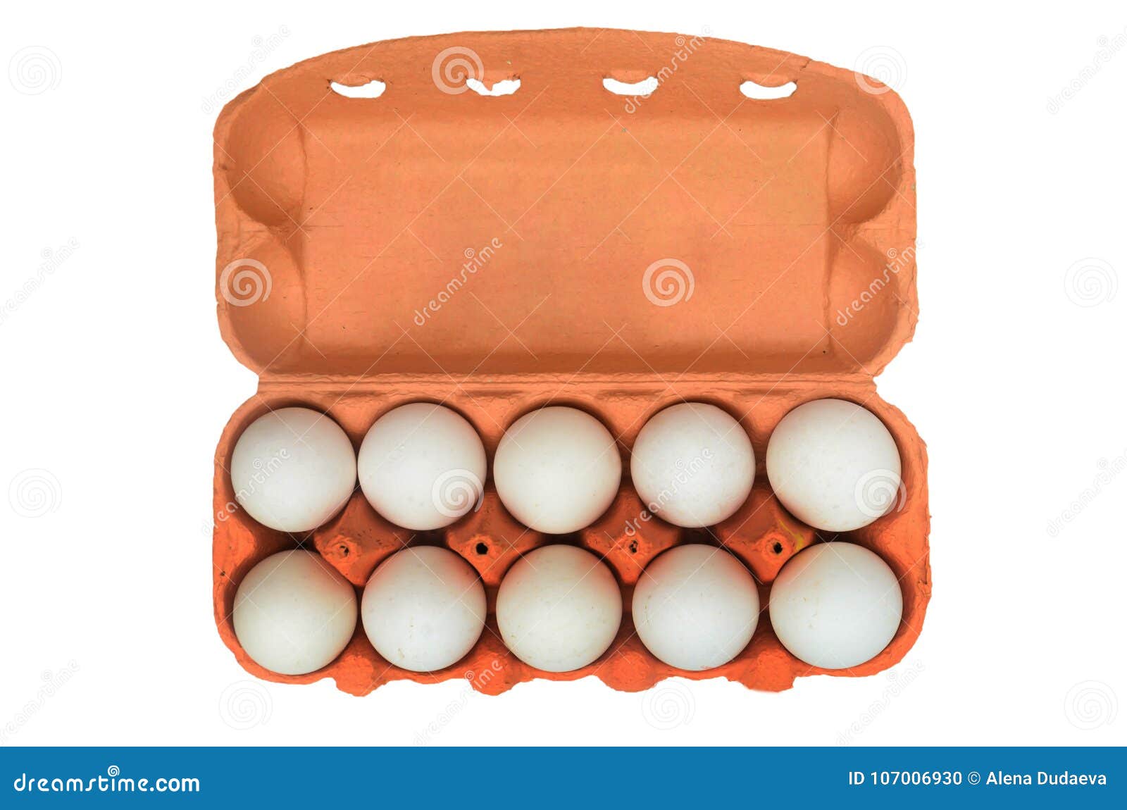 White Chicken Eggs in a Cardboard Container for Storage and Tran Stock