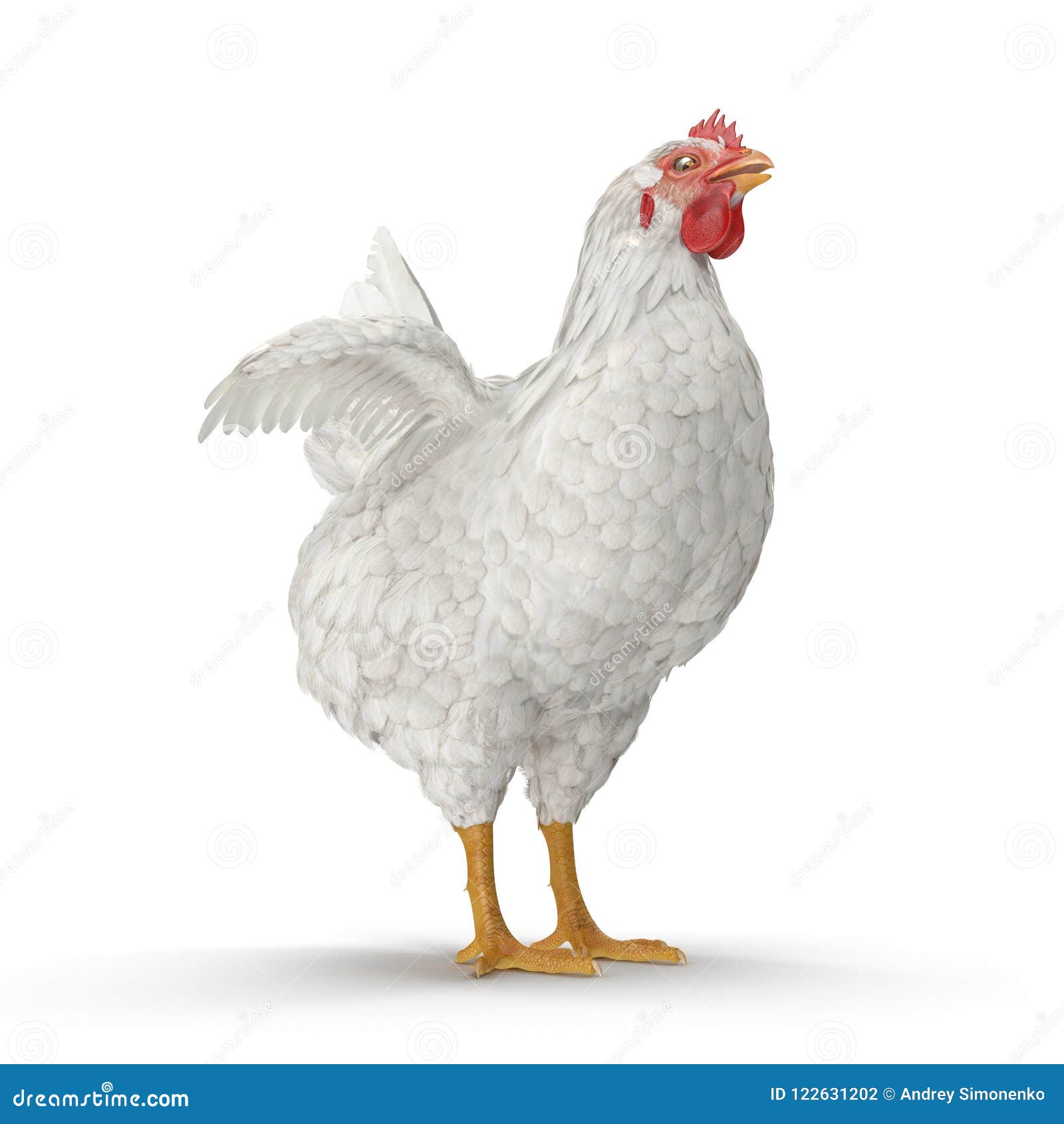 White Chicken or Hen. 3D Illustration Stock Illustration - Illustration ...