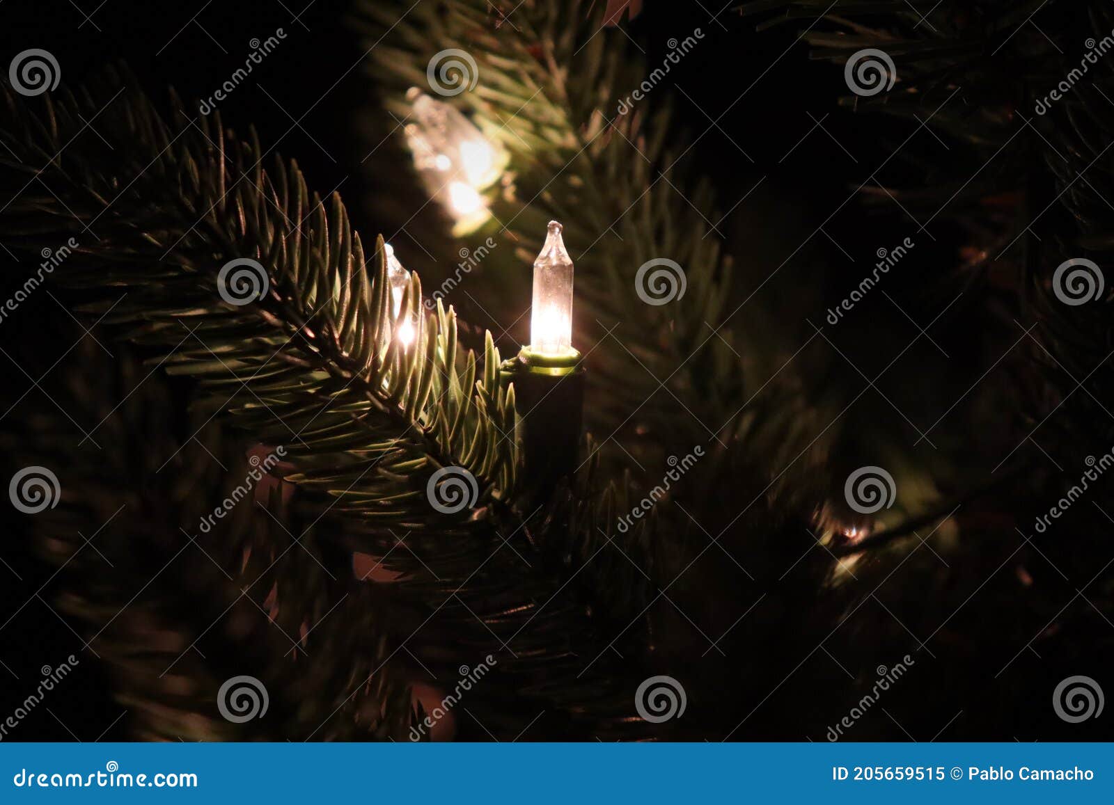 White Christmas Light on the Tree Stock Image Image of light, season