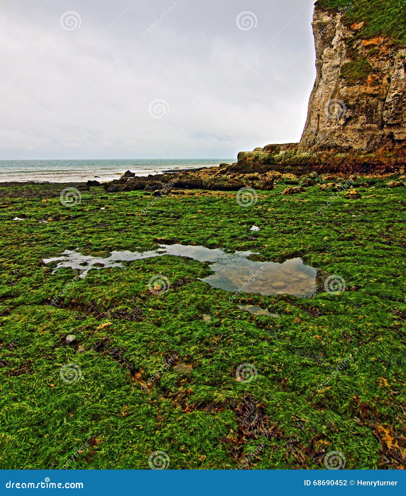 White Cliffes at St Margarets Bay at Low Tide Stock Photo Image of