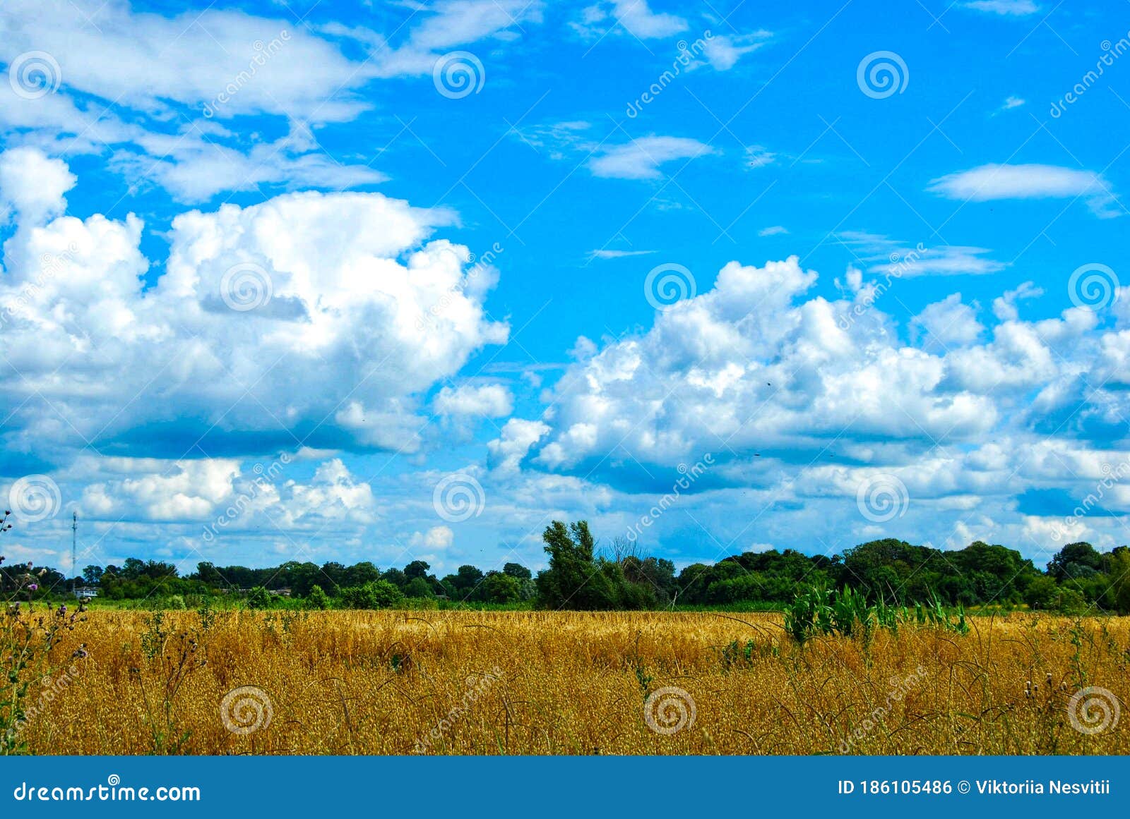 White Clouds on a Background of Blue Sky. Stock Photo - Image of heaven,  blue: 186105486