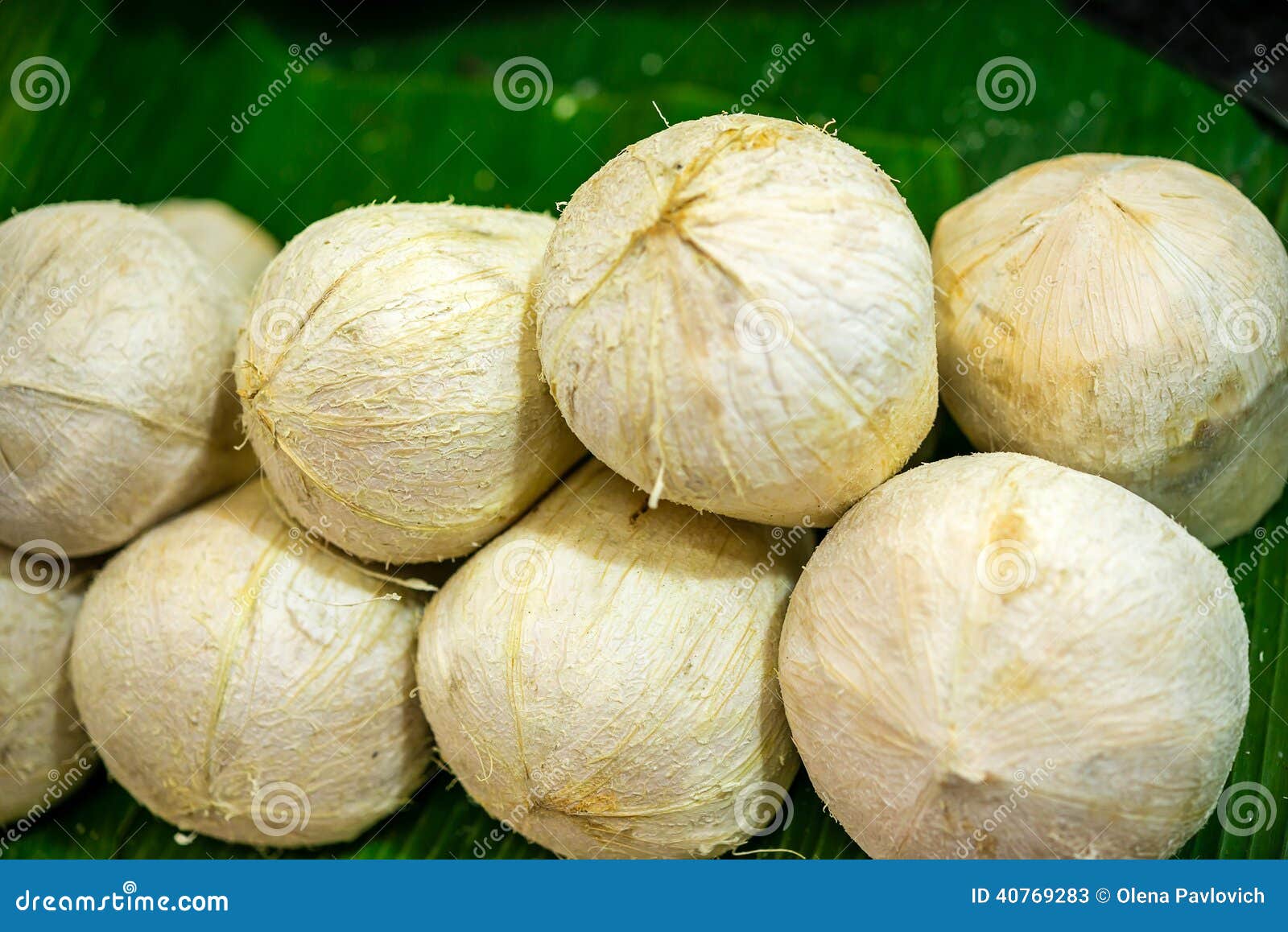 White Coconuts on the Domestic Market Stock Image Image of organic