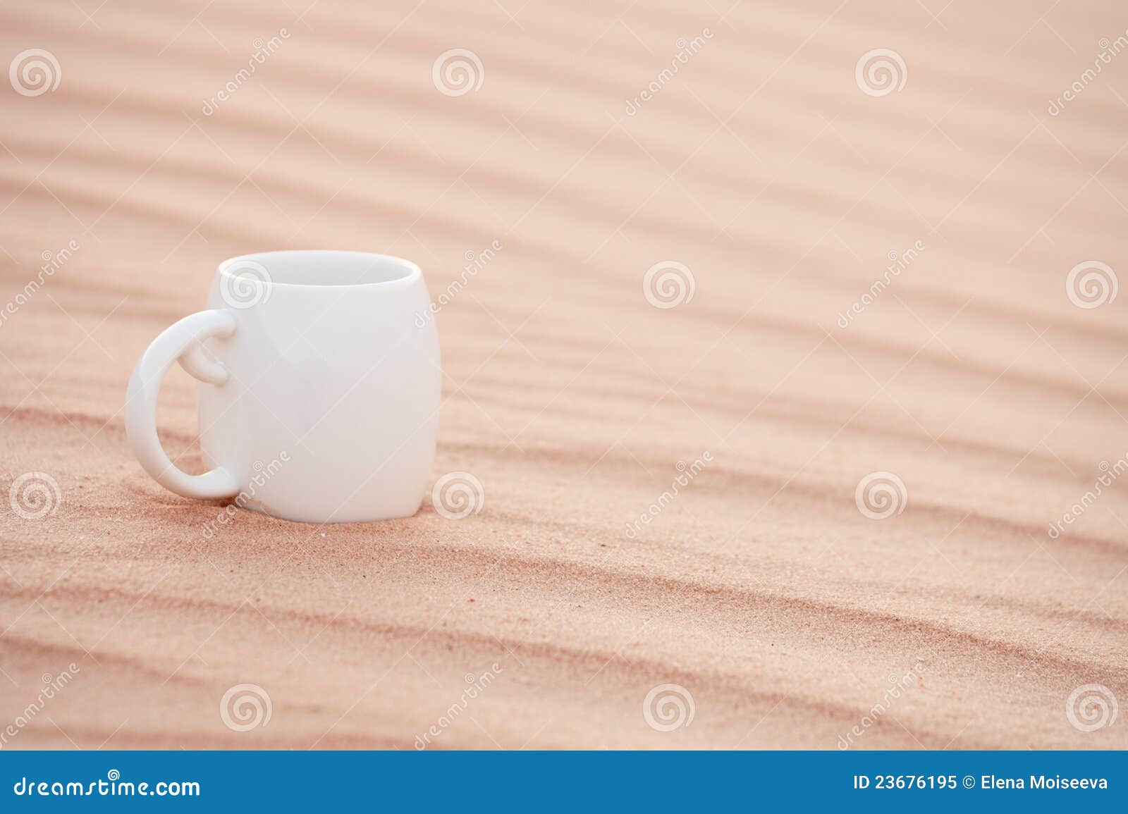 White Coffee Cup in Sahara Sand Dune Stock Image Image of sunset