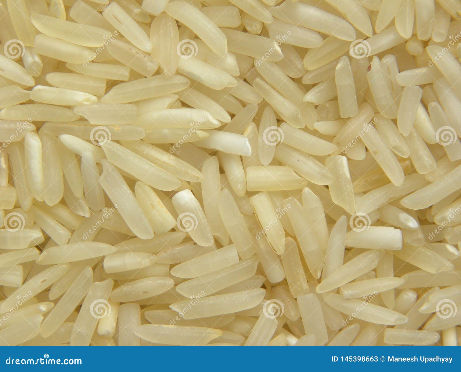 White Color Raw Uncooked Basmati Rice Stock Image Image Of Cuisine 1-4-cup-cooked-jasmine-rice-nutrition-facts-bios-pics