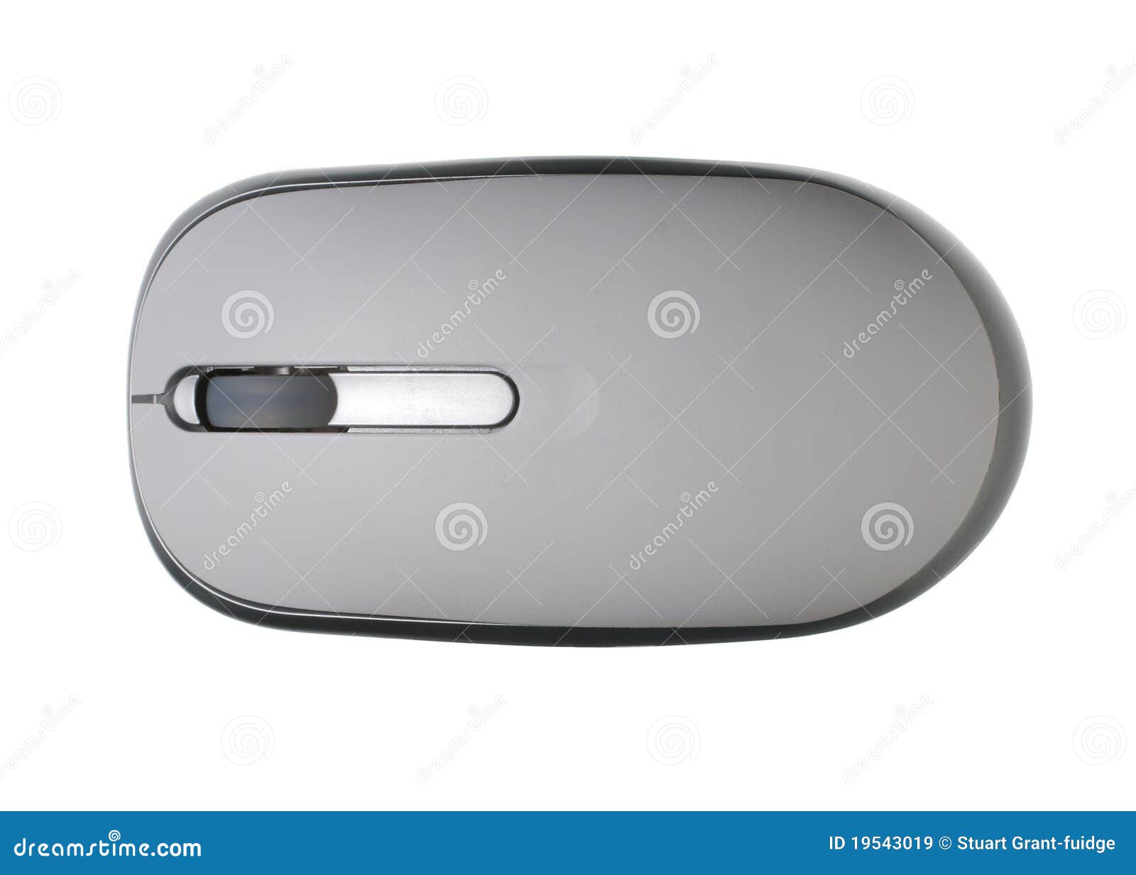 White computer mouse stock image. Image of mail, technology 19543019