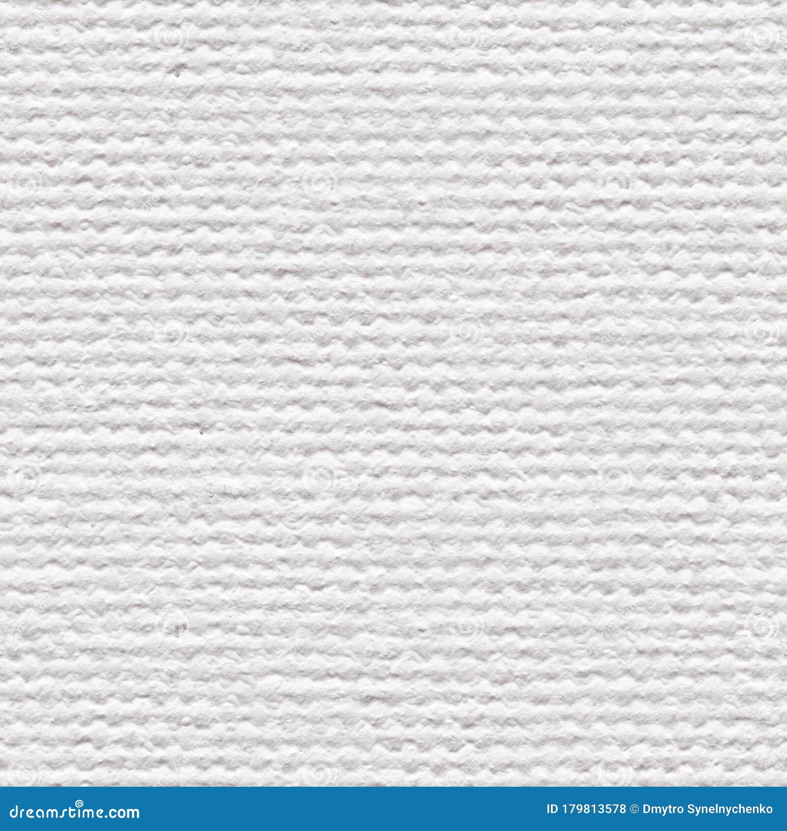 White Coton De Tulear Dog Outside In Snow Stock Photo CartoonDealer