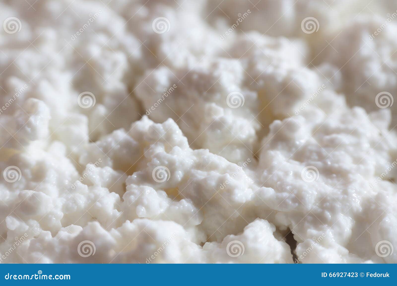 White Cottage Cheese Texture Closeup. Stock Image Image of meal