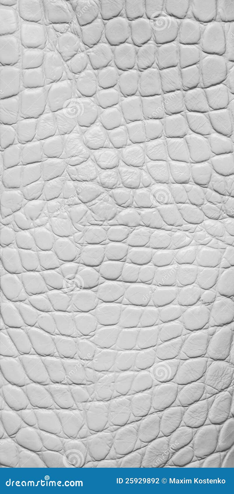 white crocodile leather texture