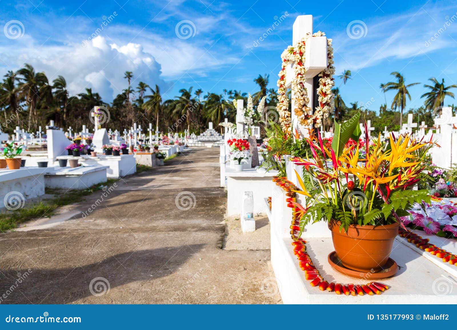 white crosses of a christian cemetery, uvea wallis island, wallis and futuna territory wallis-et-futuna, polynesia, oceania.