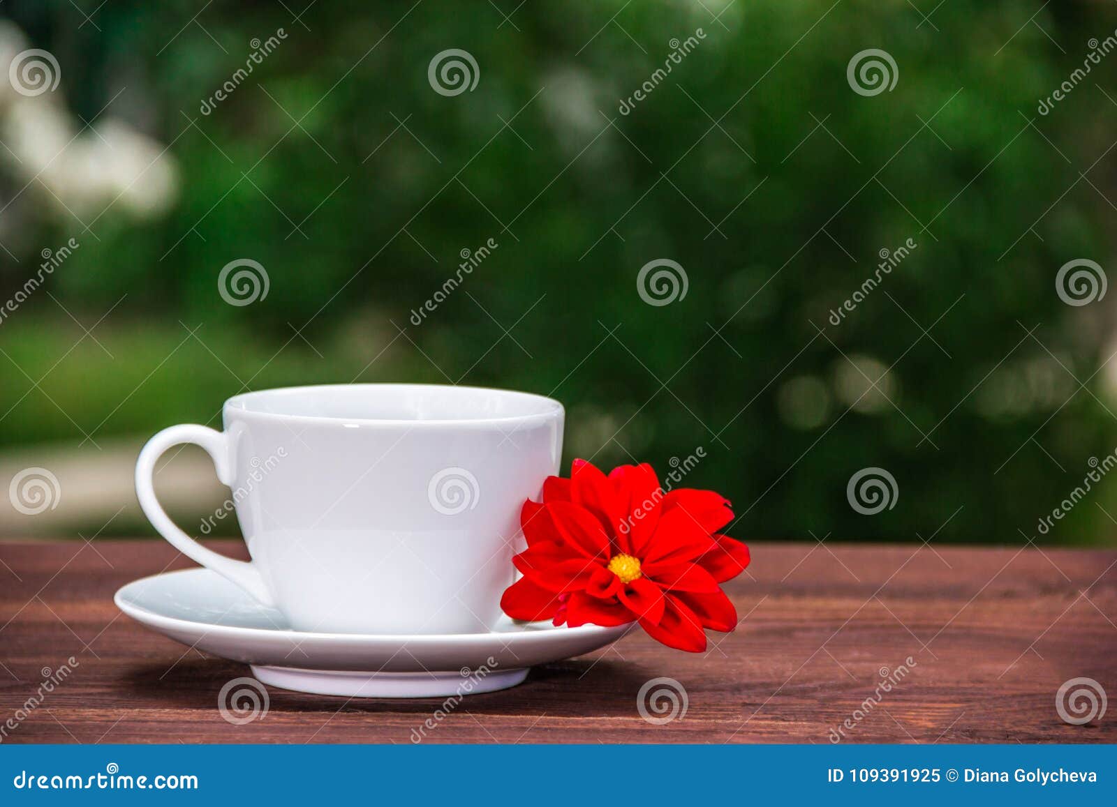 white-cup-tea-red-flower-wooden-table-green-garden-copy-space-blurred-background-109391925.jpg