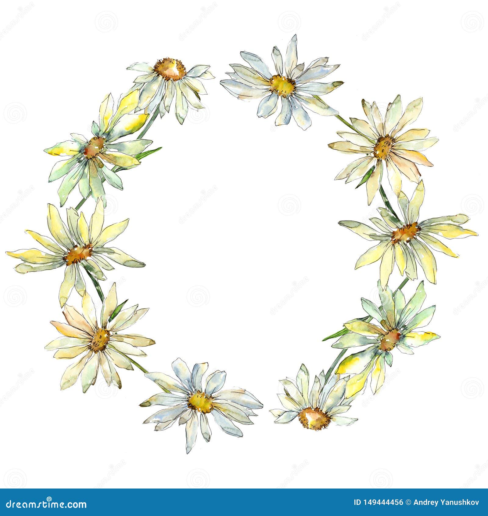 White Daisy Floral Botanical Flowers. Watercolor Background Illustration Set. Frame Border Ornament Square. Stock Illustration - Illustration Of Green, Isolated: 149444456