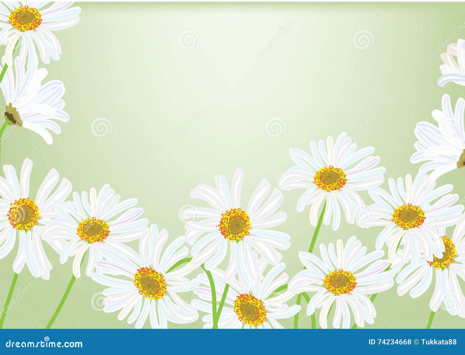 White Daisy Flowers Drawing . Stock Illustration Illustration of background, pollen 74234668