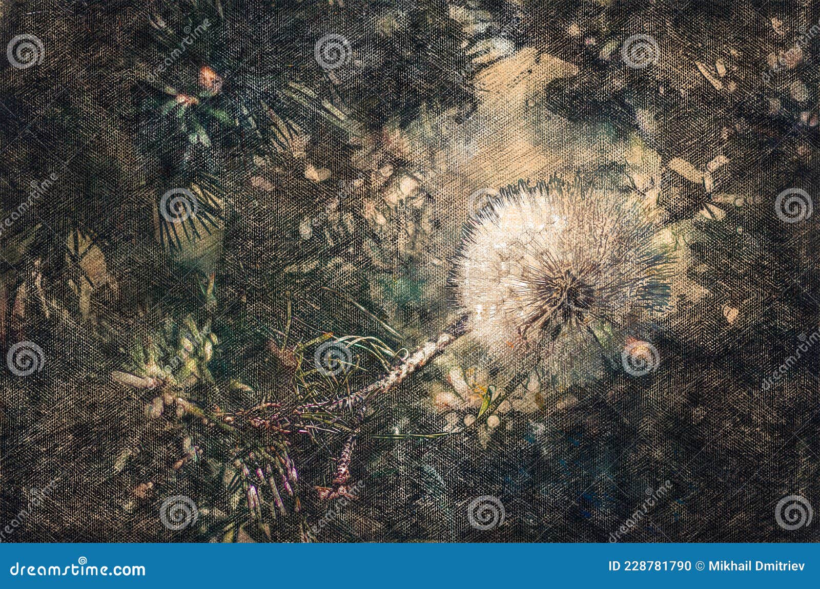 white dandelion against a dark green background. a sunbeam illum