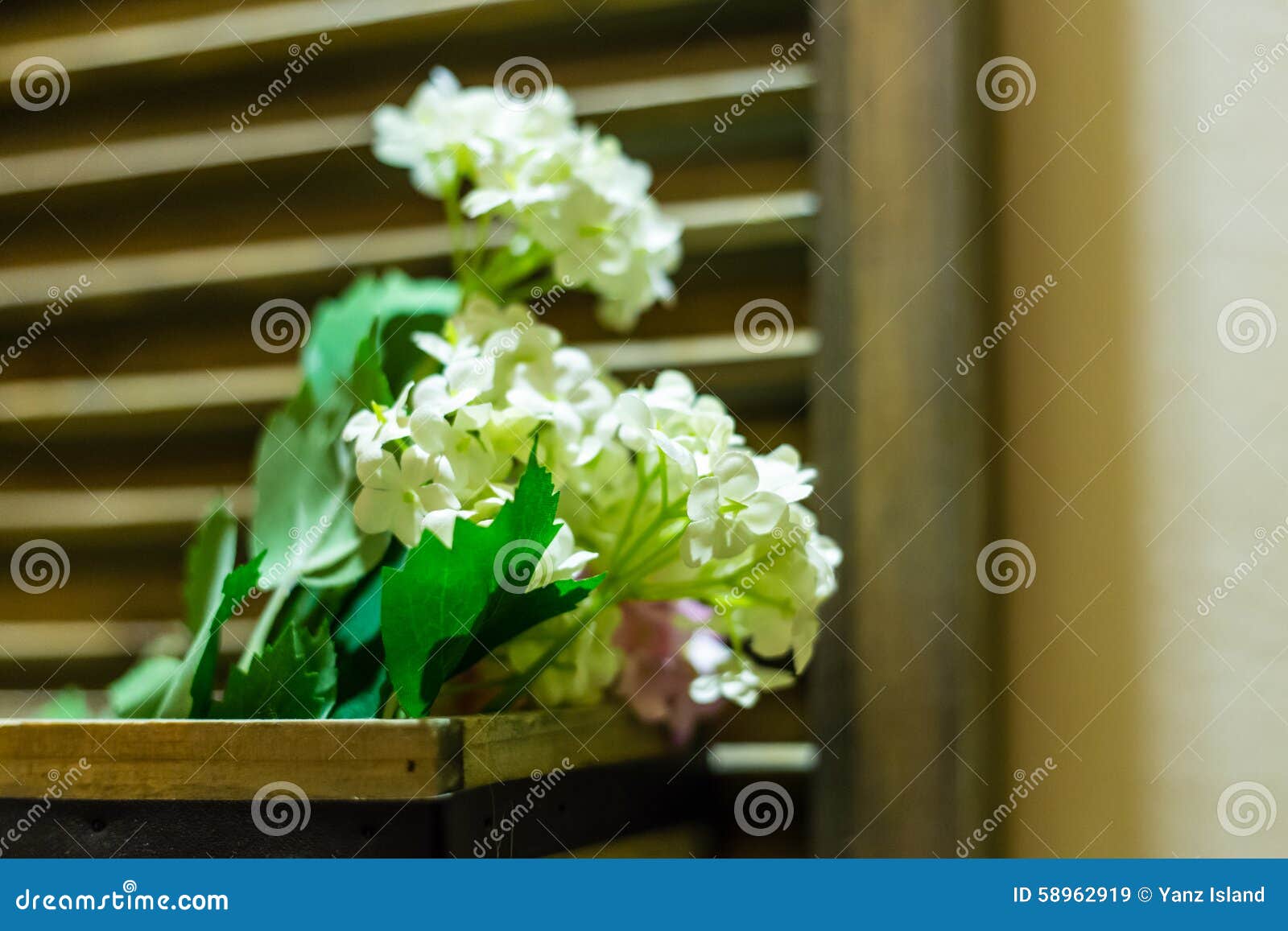 White Decorative Flowers at Home Stock Image Image of hanging, still