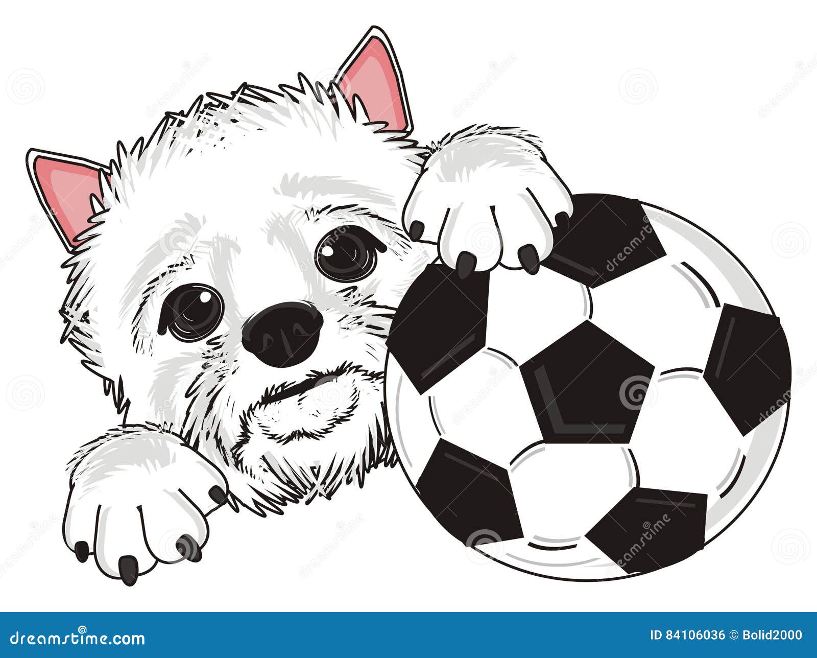 White dog and a ball stock illustration. Illustration of isolated - 84106036
