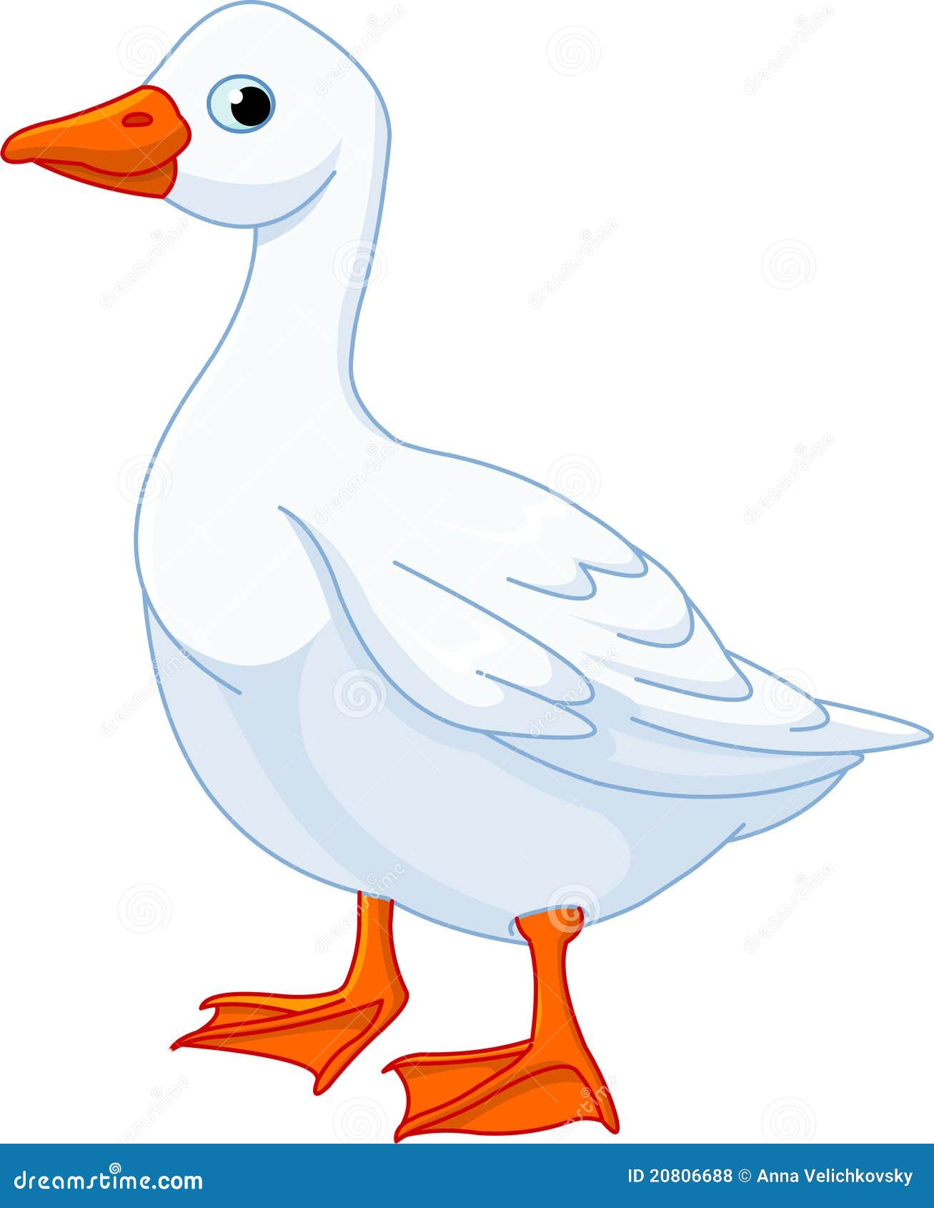 white domestic goose