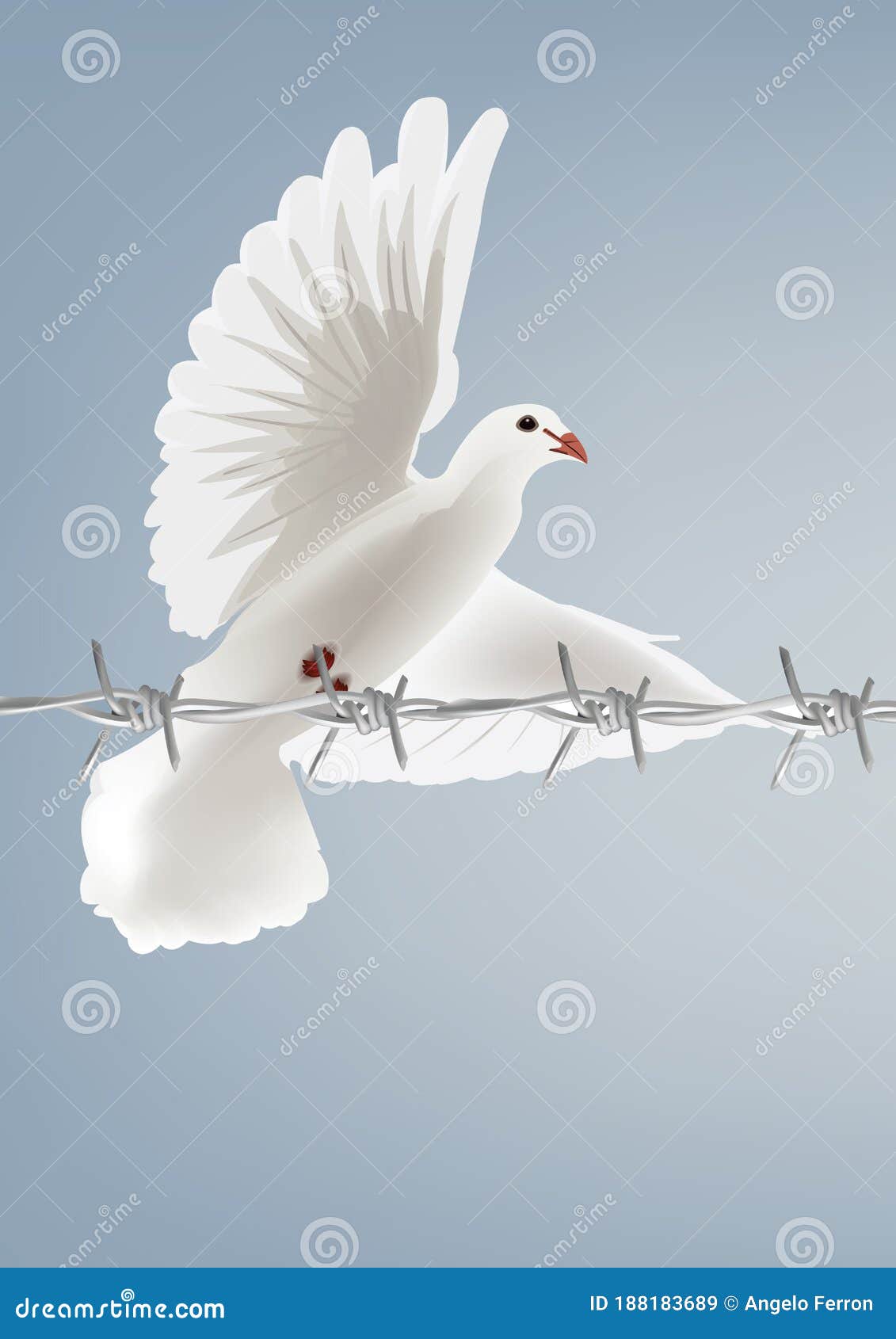 white dove bird in flight with piece of barbed wire