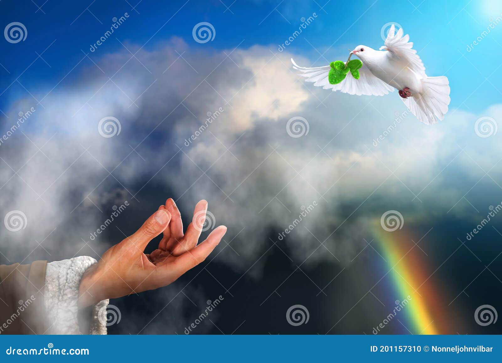 white dove bird returning to noah carrying a freshly plucked olive leaf