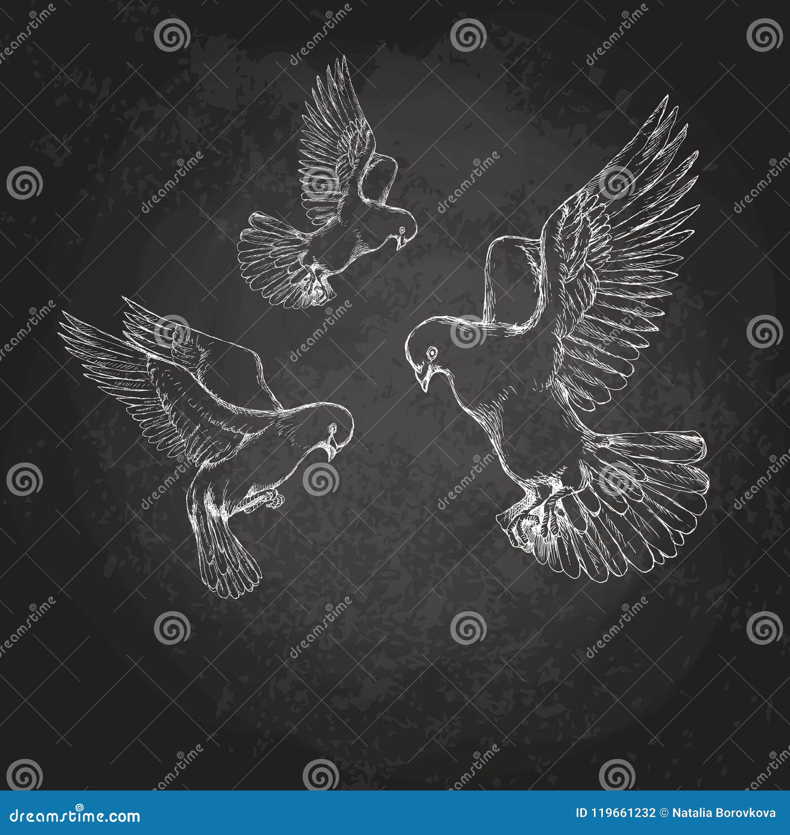 Peace dove Black and White Stock Photos & Images - Alamy