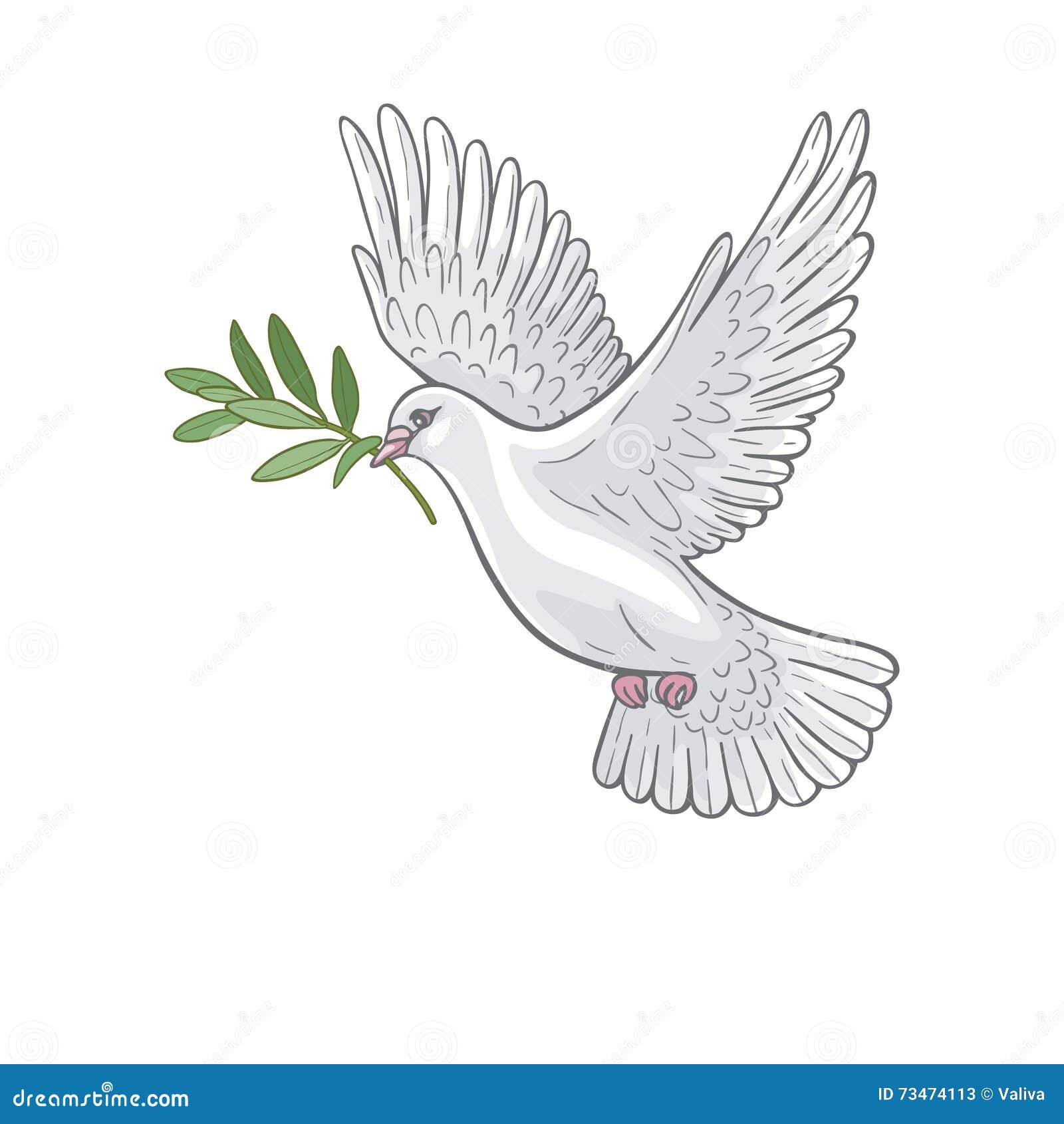 white dove with olive branch