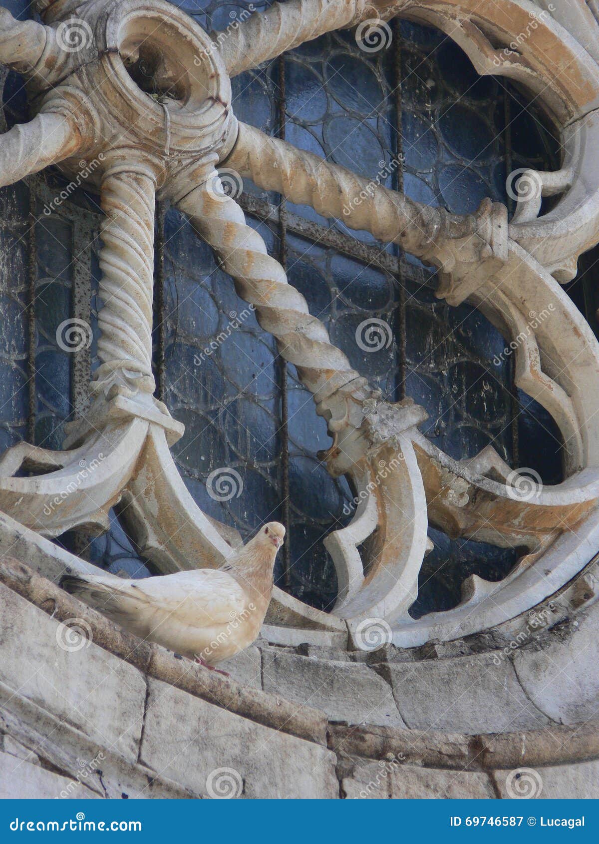 white dove resting on old rose window of romanesque church