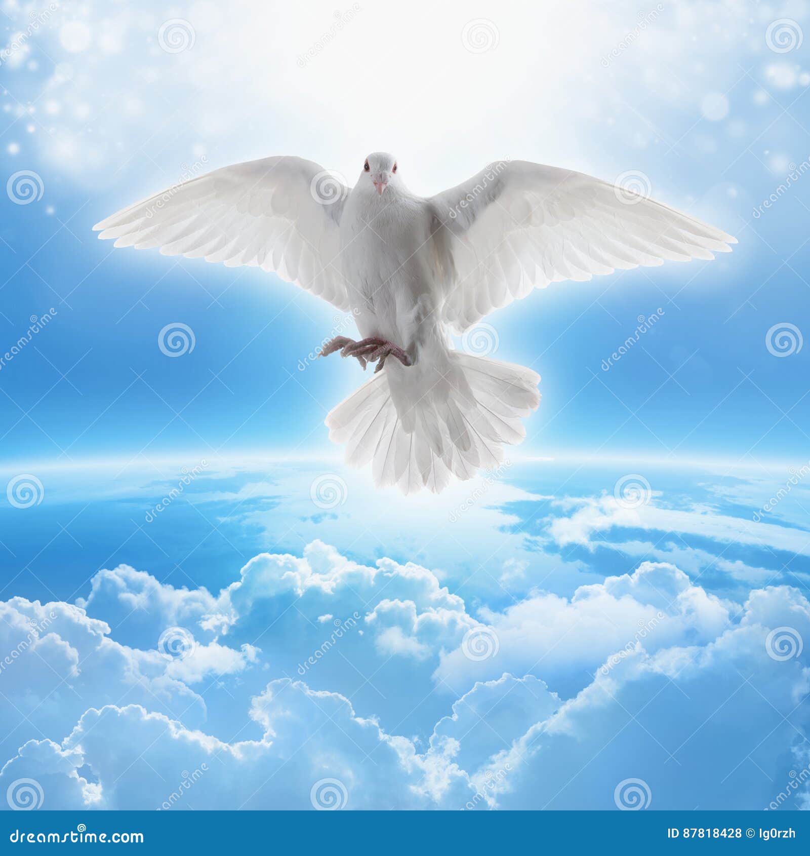 White dove symbol of love and peace flies above planet Earth. Any NASA images not used.