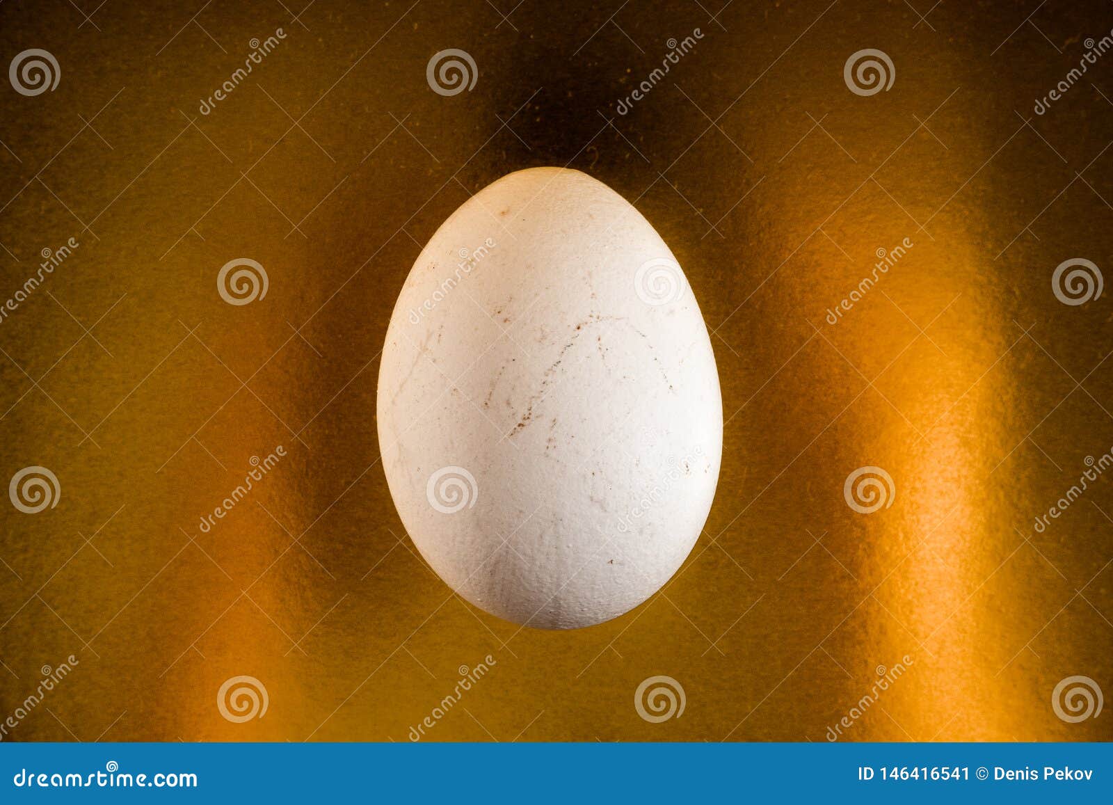 White Egg on Gold Background Stock Image Image of business, money