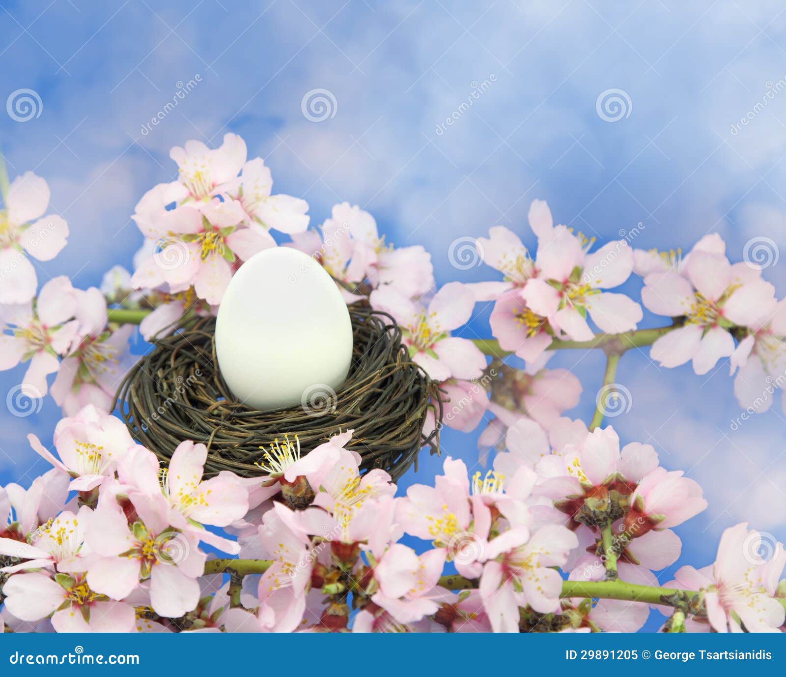 White egg in the nest stock image. Image of freshness 29891205