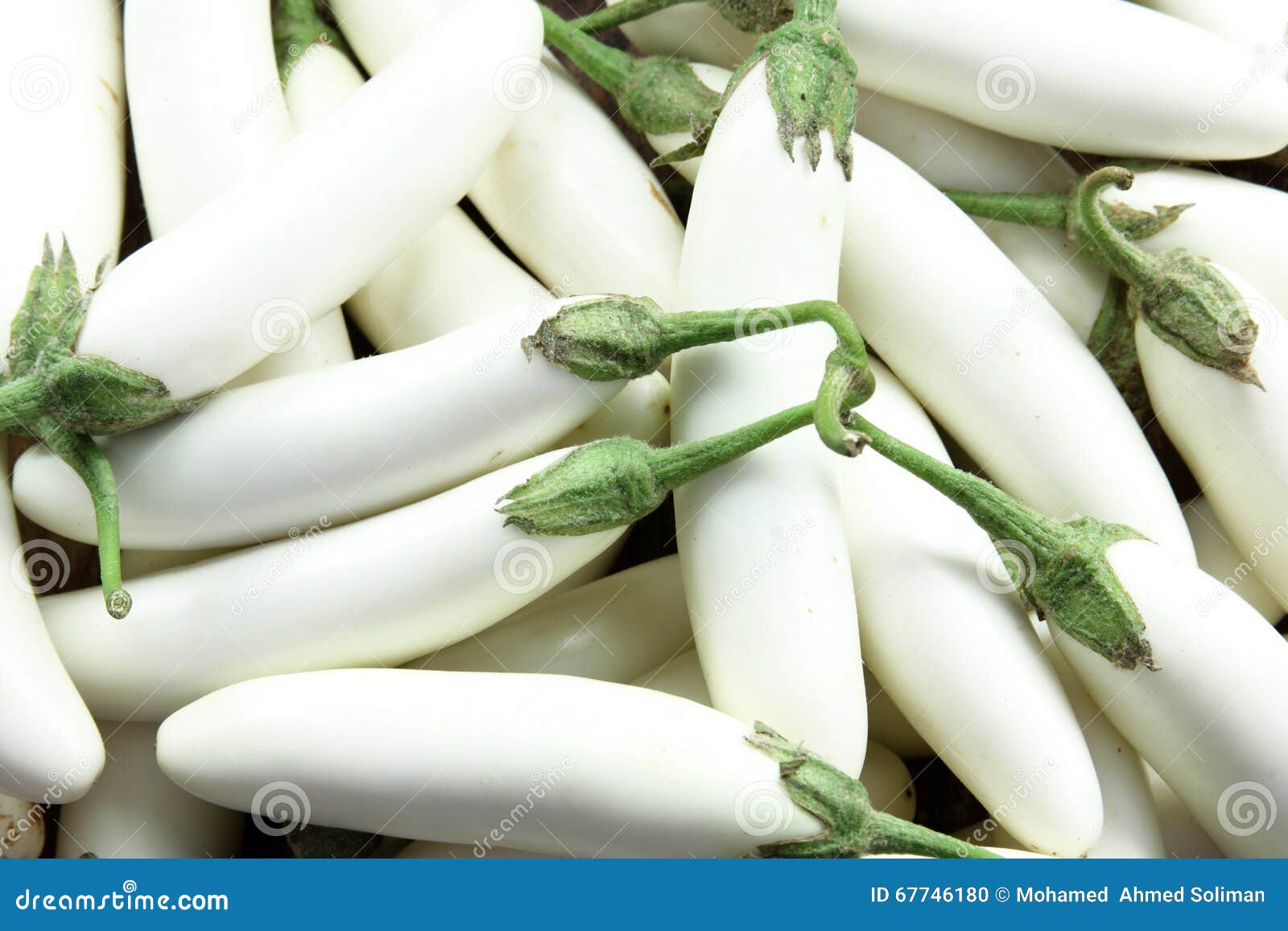 White Eggplant or White Aubergine Stock Photo Image of natural