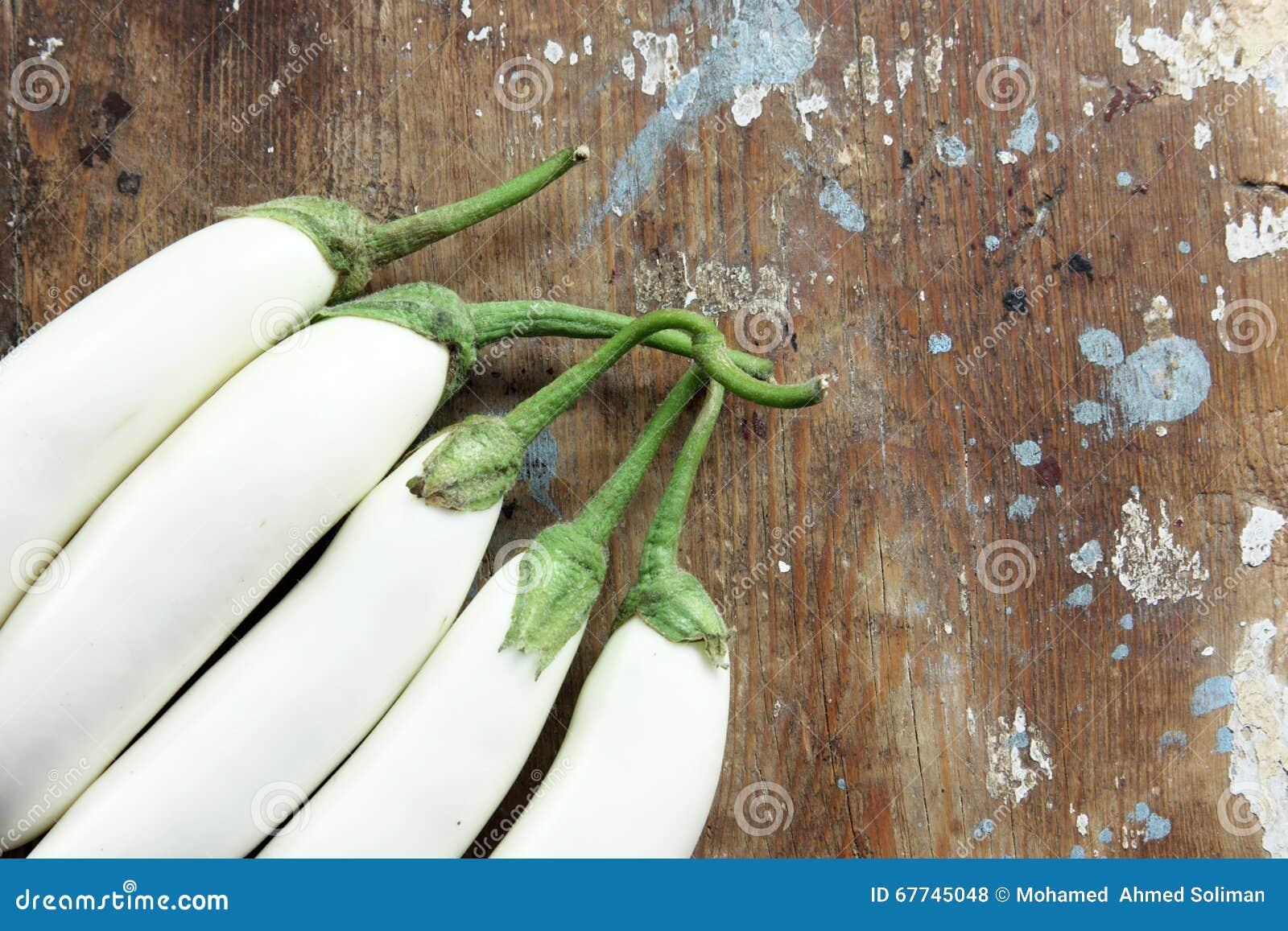 White Eggplant or White Aubergine Stock Photo Image of ingredients