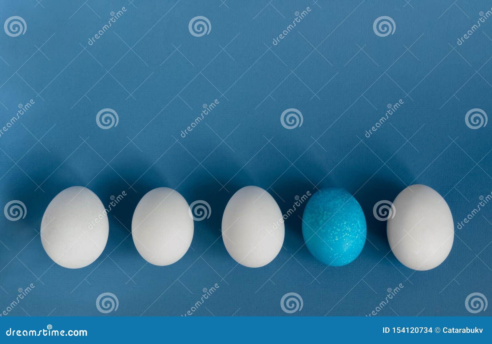 White Eggs and Blue Egg in a Row on Blue Background Stock Photo Image
