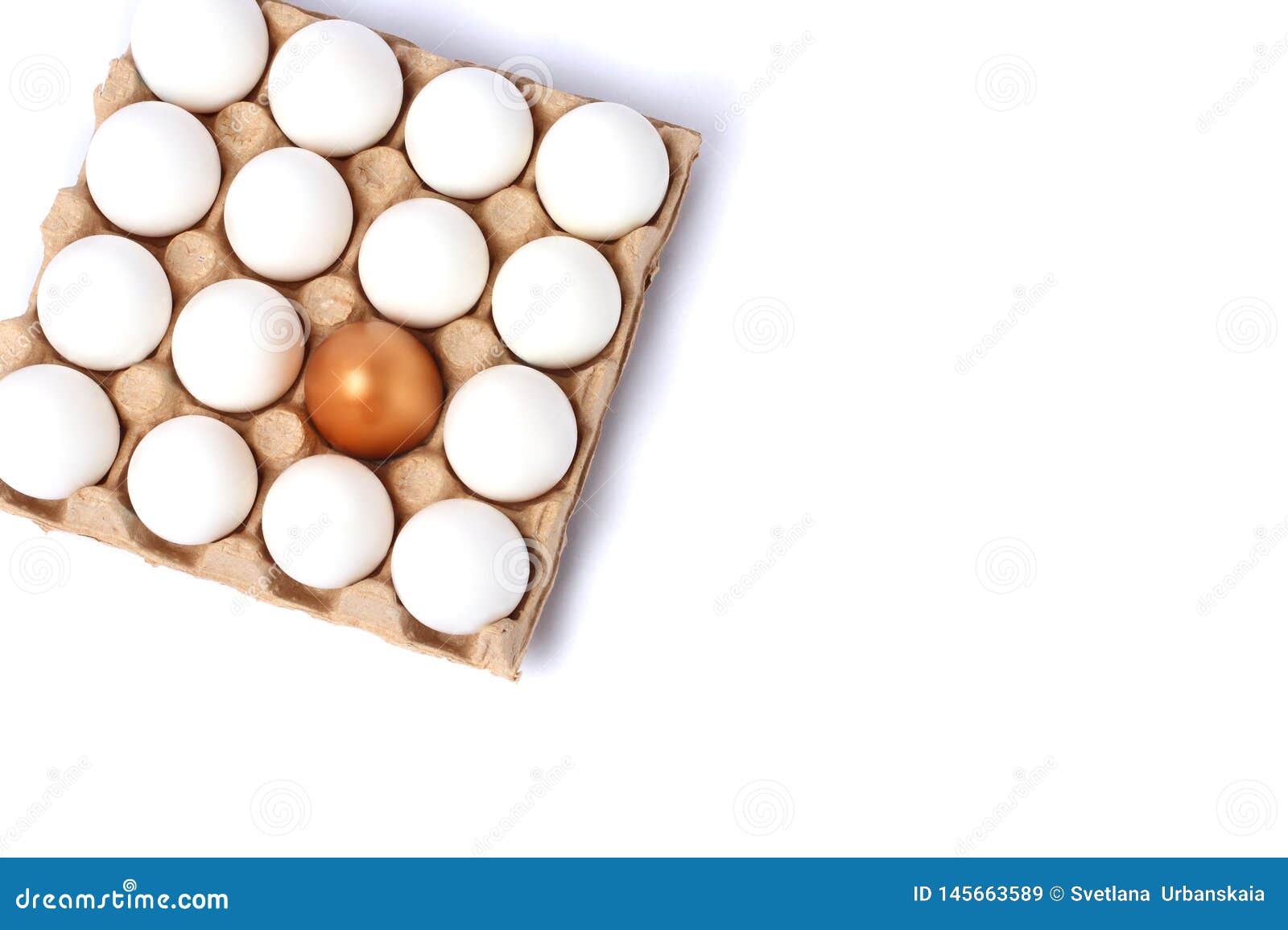 White eggs in a carton stock image. Image of group, cardboard - 145663589