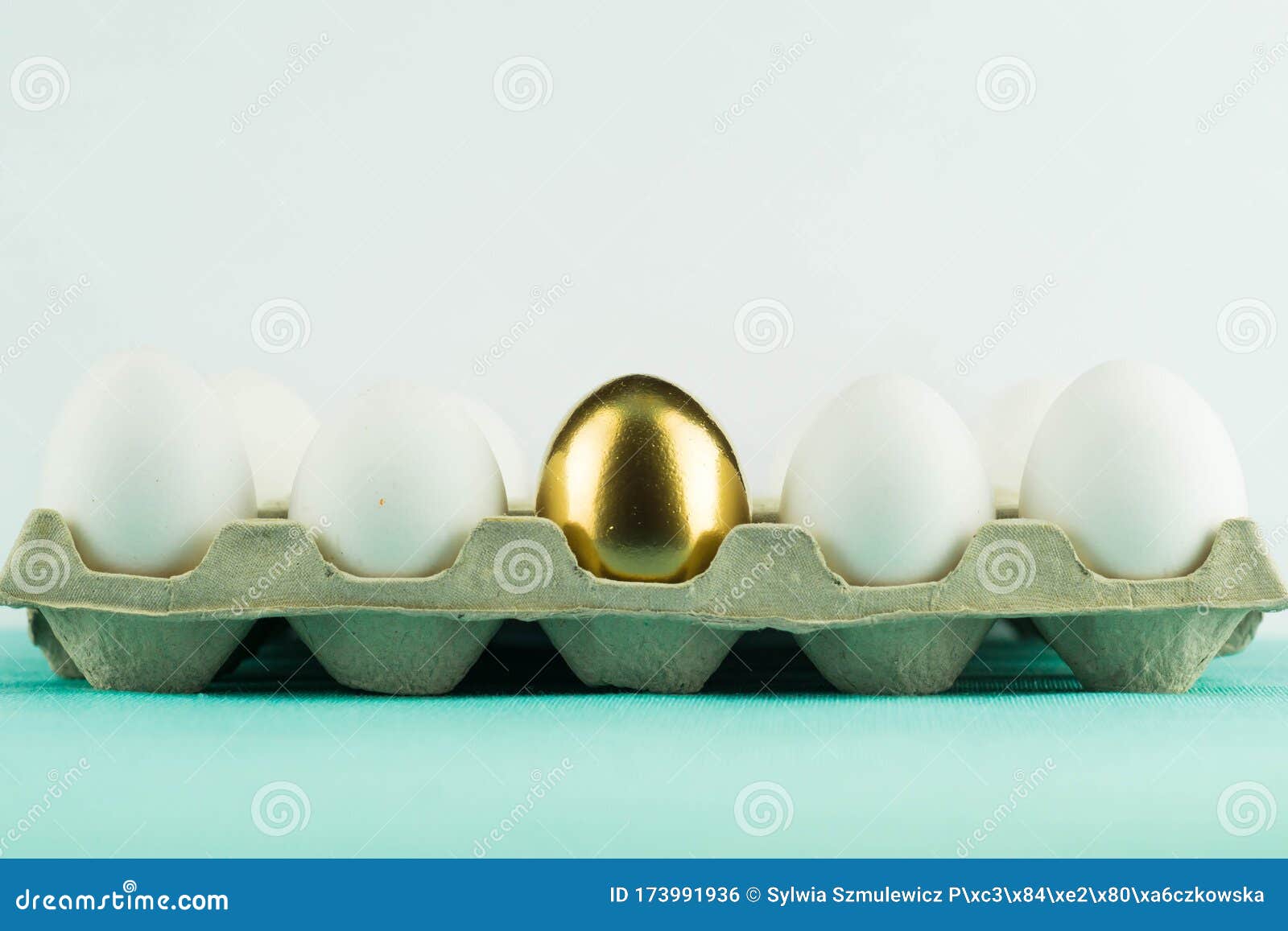 white eggs in a paper box and one unique golden egg inside them on white background. leadership, genius, uniqueness concept.