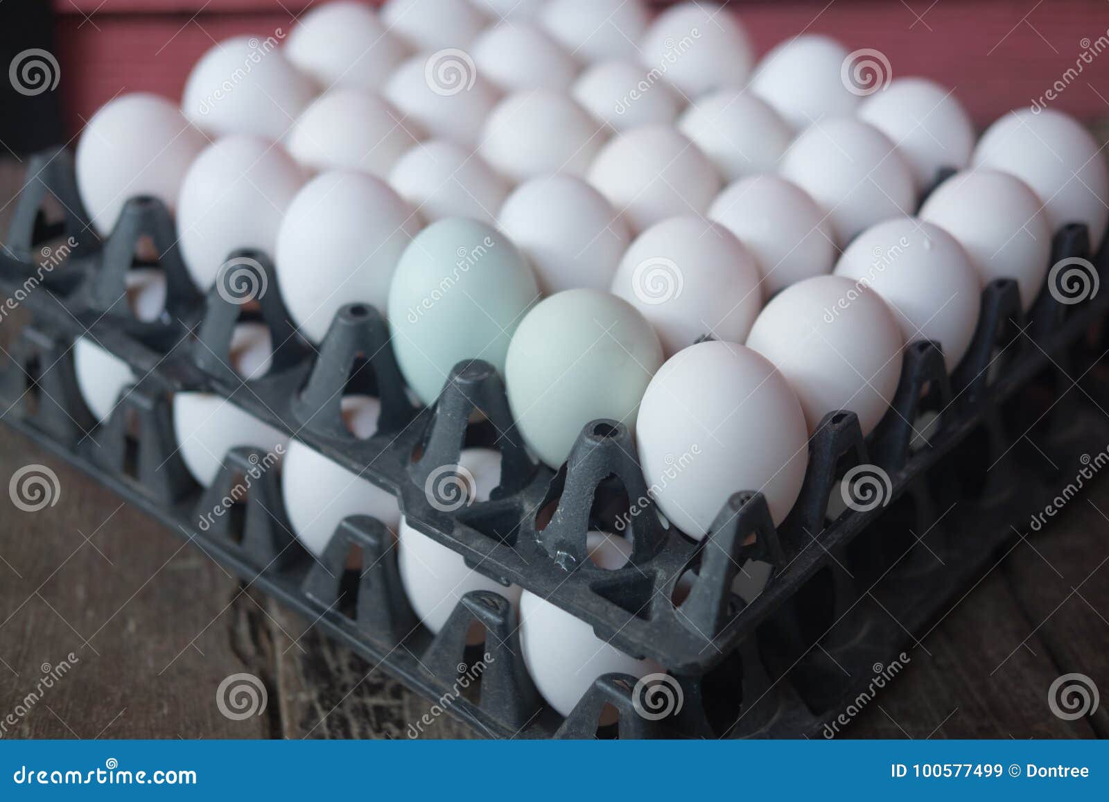 White eggs in tray stock image. Image of food, cook 100577499