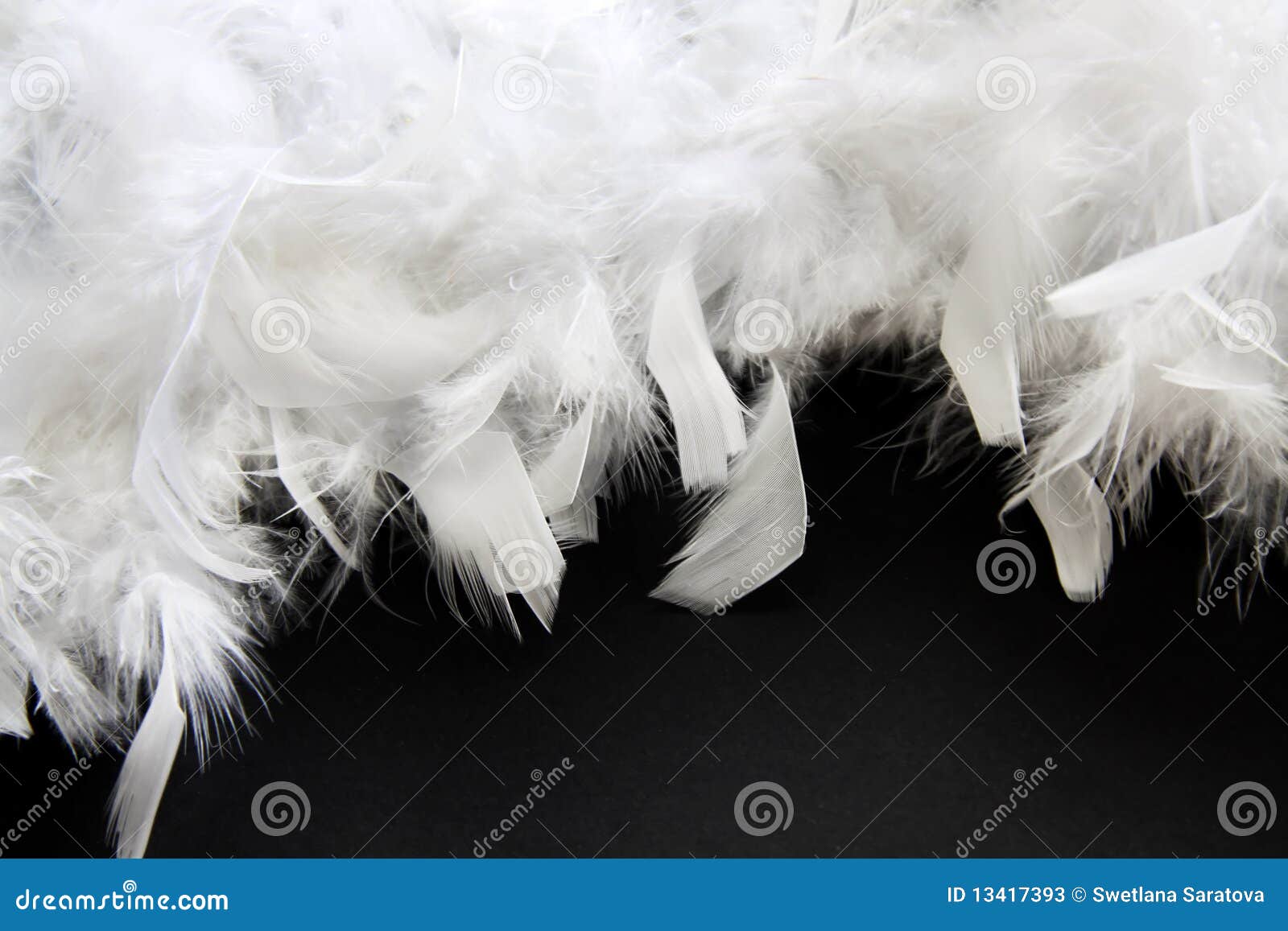 370 Bright Pink Feather Boa Stock Photos - Free & Royalty-Free Stock Photos  from Dreamstime